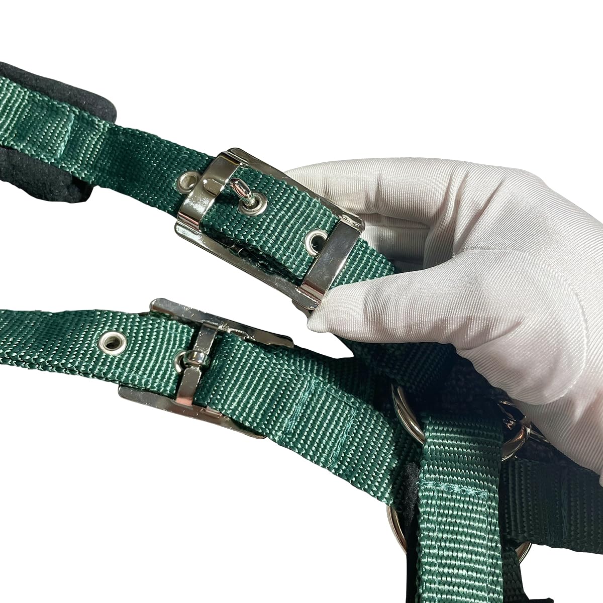 **WINTENT Padded Horse Halters with Nylon Lead Rope – Comfortable & Durable Equestrian Halter for Horses, Green (Small) – Perfect for Trail Riding, Training & Stable Use**