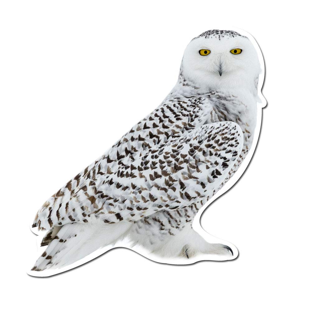 14 Inch Snowy Owl Full Body Vinyl Decal - Waterproof Full Color Sticker for Cars, Laptops, Windows, Home & Office Décor - Perfect for Indoor & Outdoor Use, DIY Projects & Gift Giving