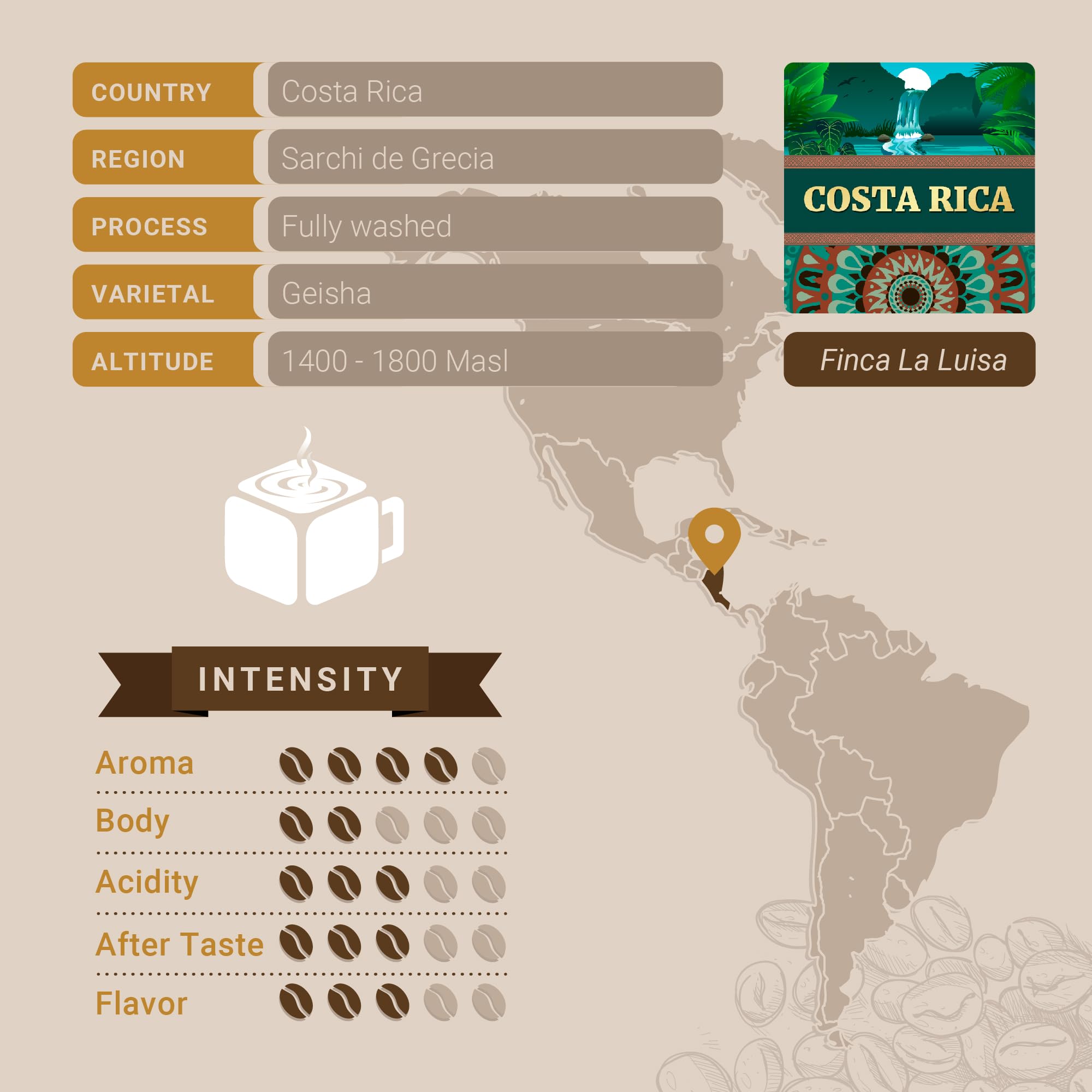 Premium Costa Rican Tarrazu Single Origin Whole Bean Coffee - Fresh Roasted, 12 Ounce Bag by Cubico Coffee | Perfect for Home Brewing, Office Use & Gifts