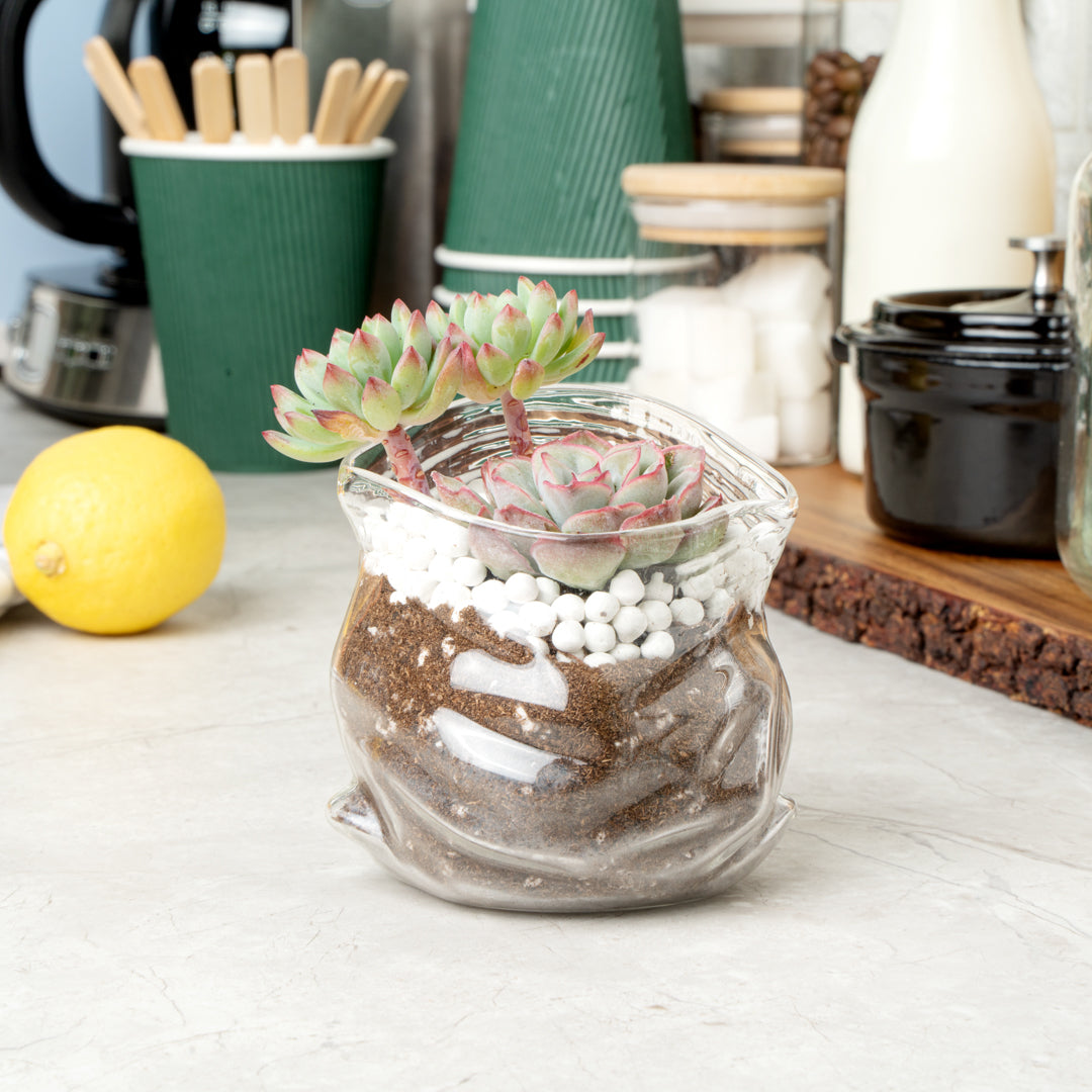 8 oz Clear Glass Storage Bowl with Lid - Round Airtight Food Container (3.25