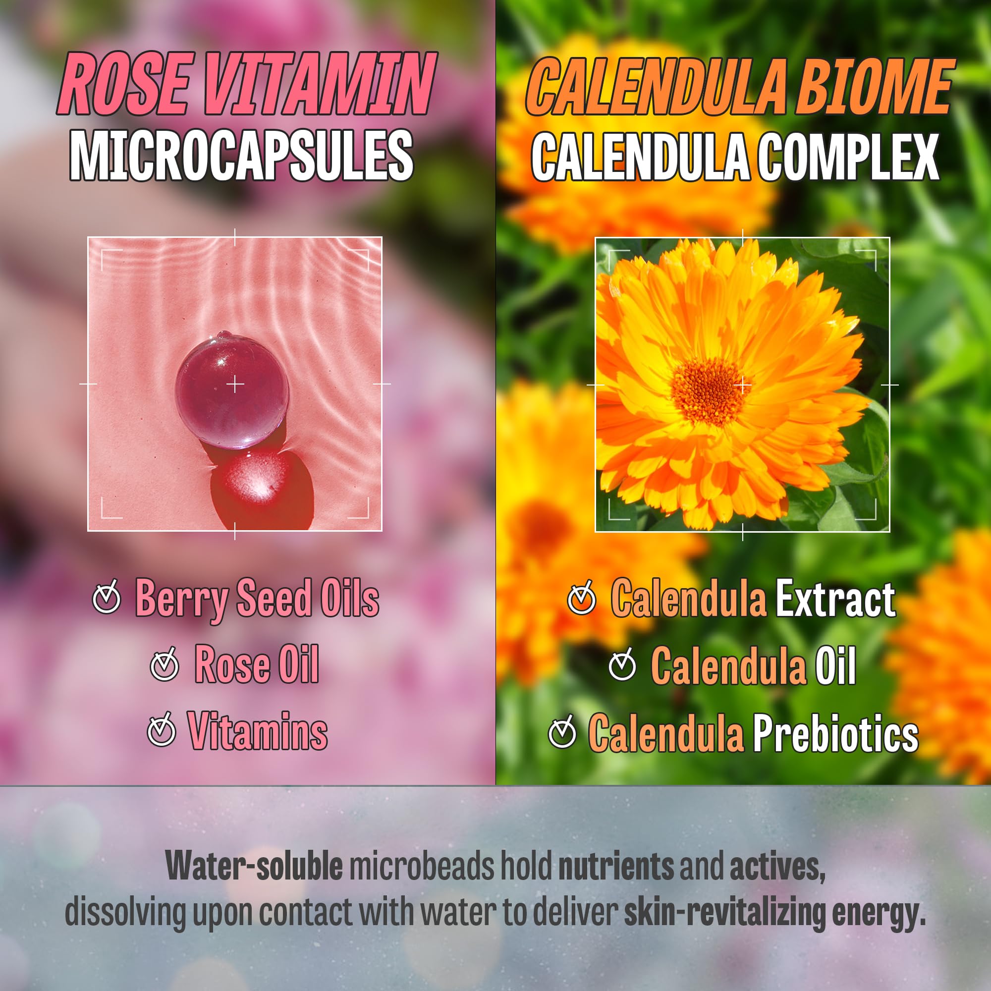 K-Beauty Rose Vitamin & Calendula Biome Oil Foam Cleanser Set | Korean Oil-to-Foam Face Wash for Dry Sensitive Skin | Hydrating Facial Cleanser Bundle | Perfect for Double Cleansing & Nighttime Skincare Routine