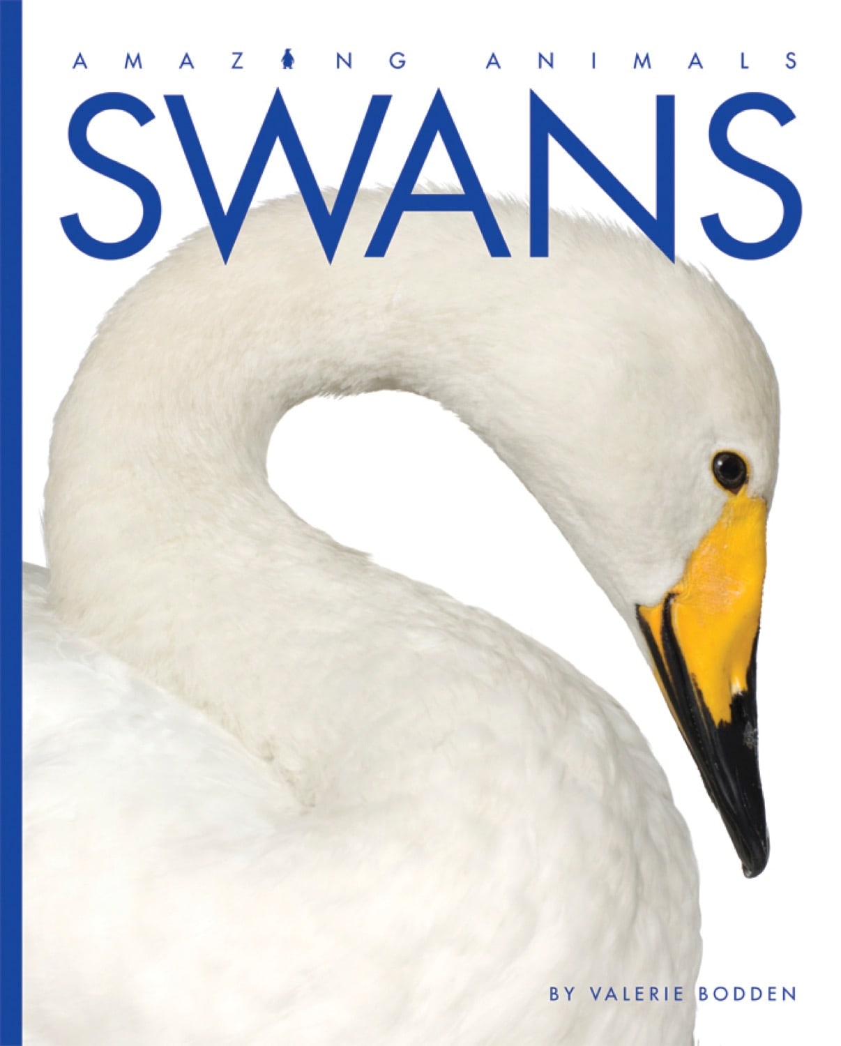 Amazing Animals (2014): Swans - Beautiful Water Birds for Nature Lovers | Perfect for Bird Watching, Wildlife Photography & Nature Documentaries