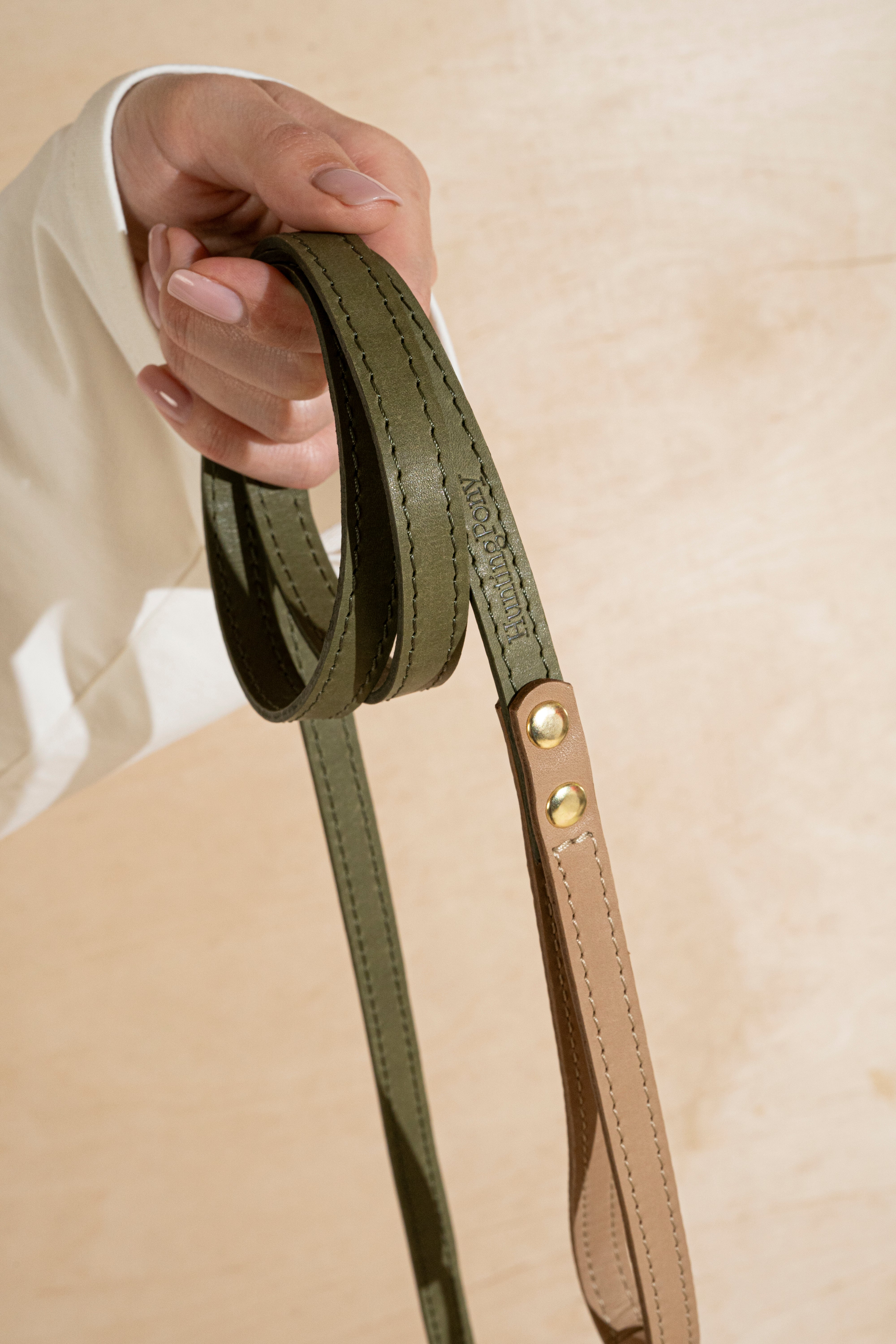 Walkony Dog Leash and Collar Set - Green & Beige for Small to Medium Dogs | Hands-Free Walking, Jogging, and Outdoor Adventures