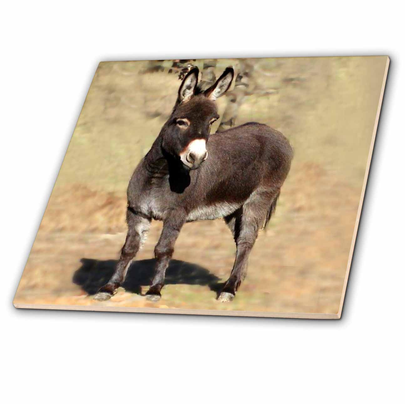 3dRose LLC Miniature Donkey 6-Inch Ceramic Tile - Cute Home Decor for Kitchen, Bathroom & Garden - Perfect Gift for Animal Lovers