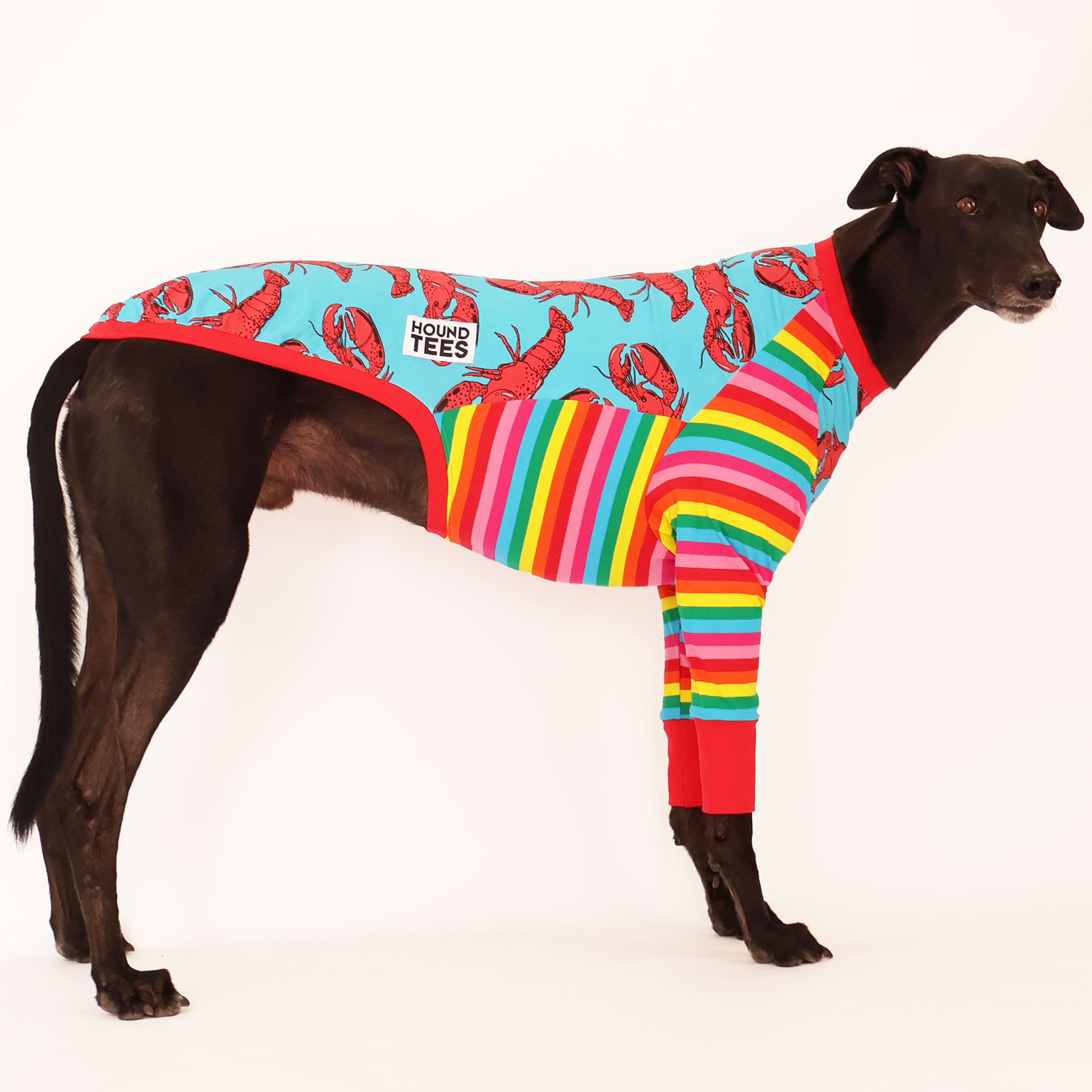 Rock Lobster Greyhound Long Sleeve Hound Tee - Vintage Dog Lover Graphic T-Shirt for Men & Women - Casual Wear for Dog Owners, Pet Lovers & Animal Enthusiasts