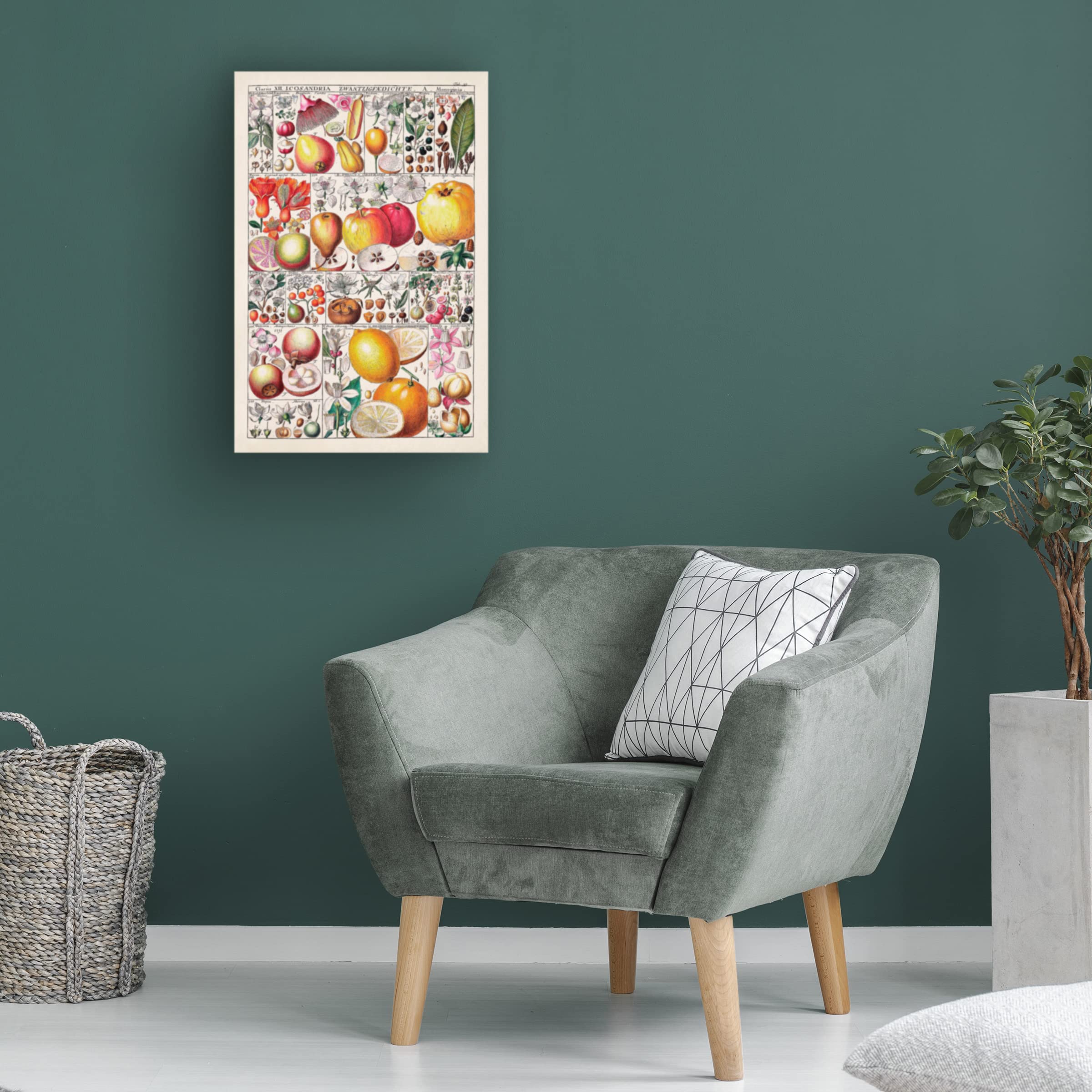Trademark Fine Art 'Fruit Chart' Canvas Wall Art Print - 30x47 Inches - Vibrant Kitchen Decor & Dining Room Wall Decor - Perfect for Home, Restaurant, or Cafe Decorations