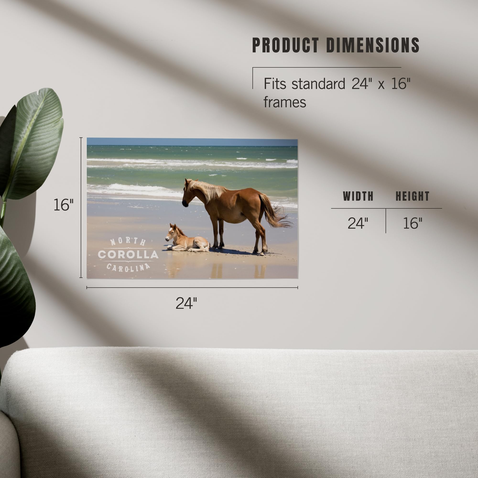 Lantern Press 16x24 Inch Giclee Art Print - Corolla NC Beach Scene with Wild Banker Ponies & Foal - Coastal Wall Decor for Living Room, Bedroom or Office