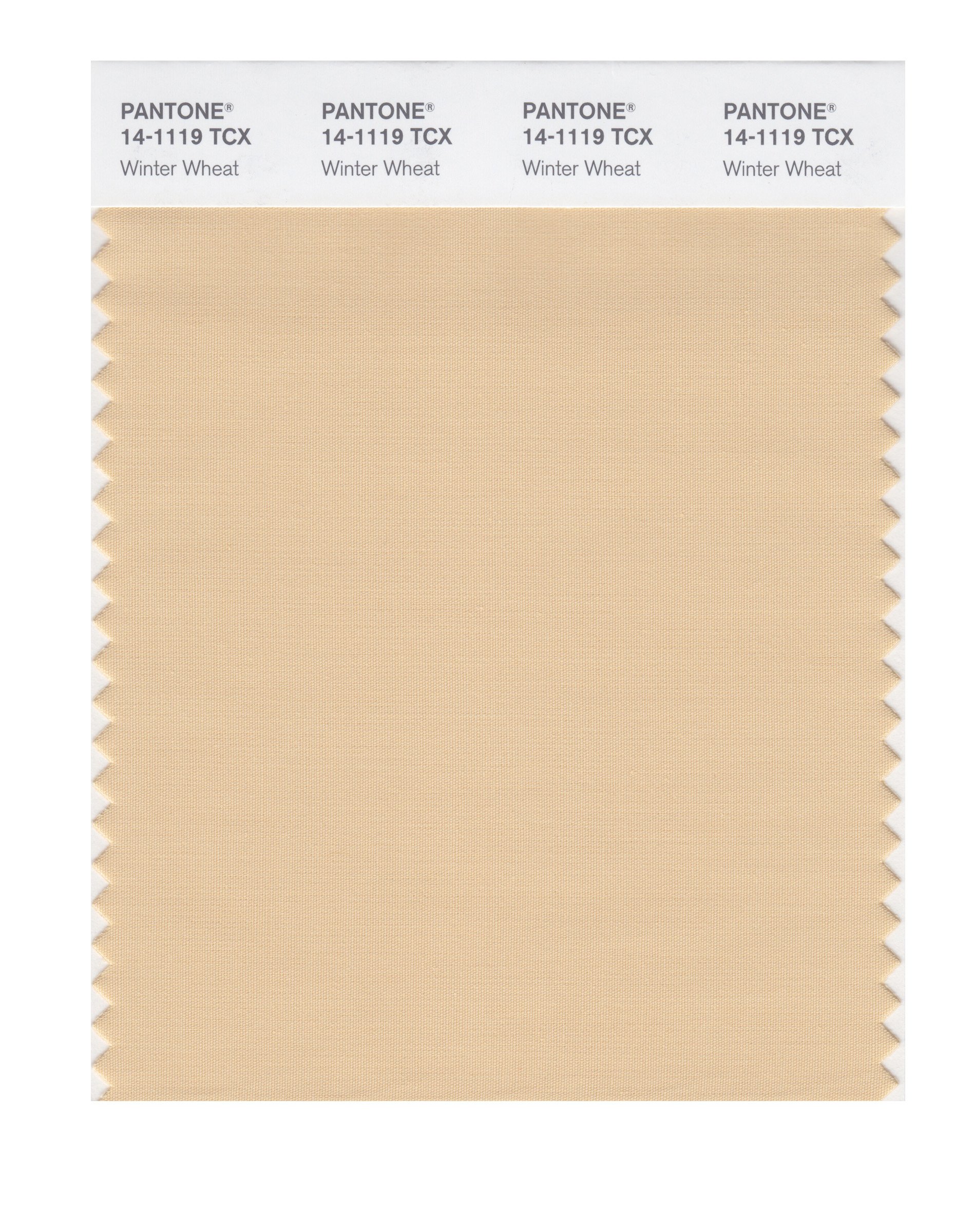 PANTONE Smart 14-1119X Winter Wheat Color Swatch Card | Professional Design Tool for Graphic Artists, Interior Designers & Fashion Industry | Perfect for Color Matching, Branding & Creative Projects