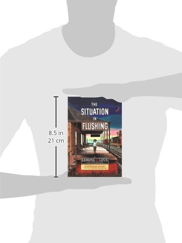 The Situation in Flushing - Great Lakes Books | Historical Novel, American Midwest Culture | Perfect for Book Clubs & History Enthusiasts