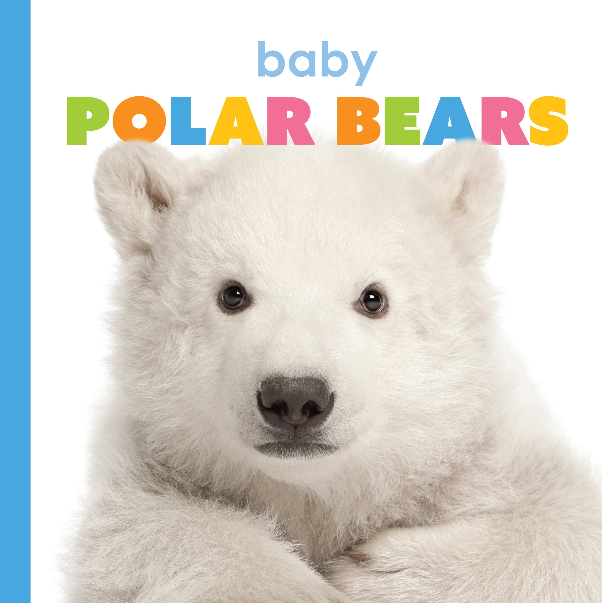 Adorable Baby Polar Bear Plush Toy - Soft & Cuddly Stuffed Animal for Kids & Collectors | Perfect for Gifts, Nursery Decor, and Cuddling