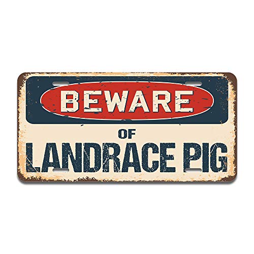 Beware of Landrace Pig
