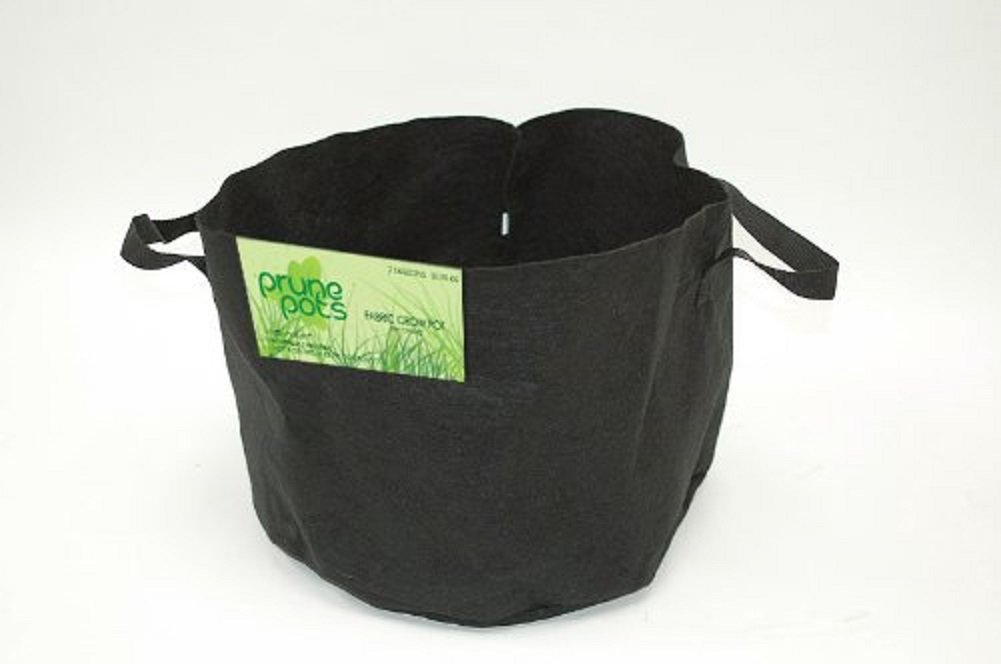 1 Gallon Hydroponic Fabric Grow Pots - 100 Pack of Breathable Prune Pots for Indoor/Outdoor Gardening, Plant Cultivation & Hydroponic Systems - Perfect for Vegetables, Herbs, Flowers & Seedlings