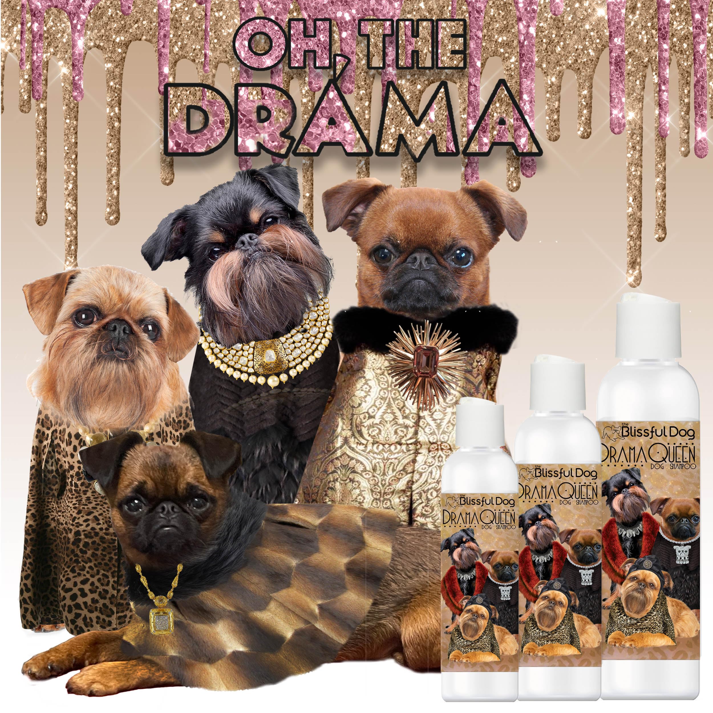 The Blissful Dog Brussels Griffon Drama Queen Dog Shampoo - 8 oz | Gentle Cleansing for Sensitive Skin | Perfect for Show Dogs & Daily Grooming
