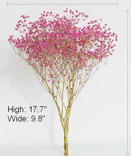 Dried Baby's Breath Bunch - Natural Gypsophila Flowers for Wedding Decor, Mason Jar Fillers, DIY Floral Arrangements | Perfect for Centerpieces, Bouquets, and Home Decor