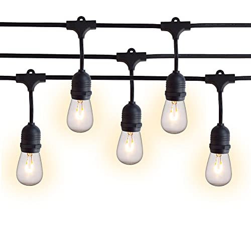 Shatterproof LED Bulbs 1-Watt - Black Cord