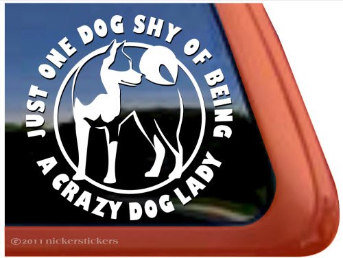 Crazy Dog Lady Akita Dog Vinyl Window Decal Sticker - Cute Pet Lover Car & Home Decor for Dog Owners