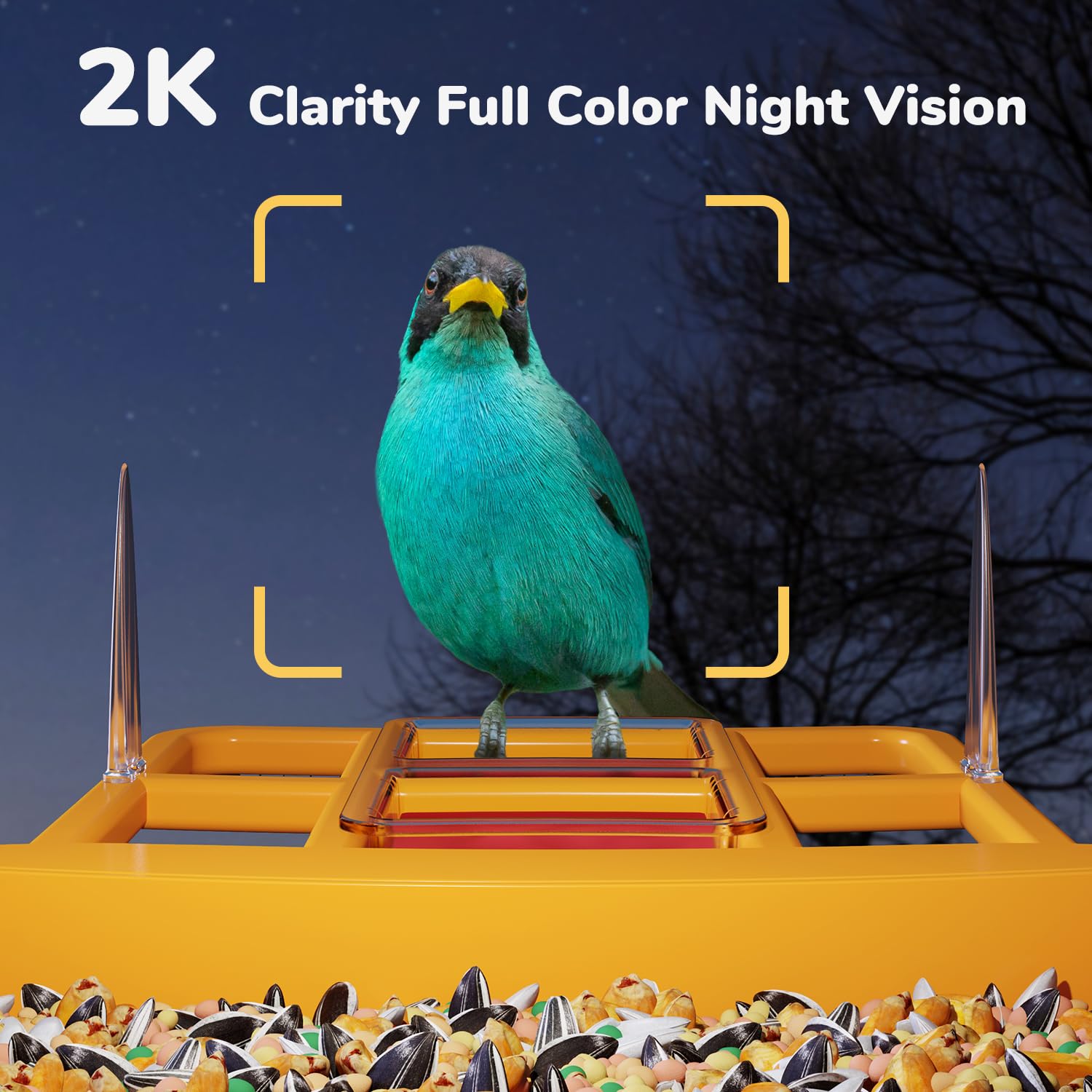 Dzees Smart Bird Feeder with Camera - Solar Powered AI Bird Identification, 32GB Storage, HD Video Capture & Instant Alerts | Perfect for Backyard Bird Watching, Nature Lovers & Unique Family Gifts