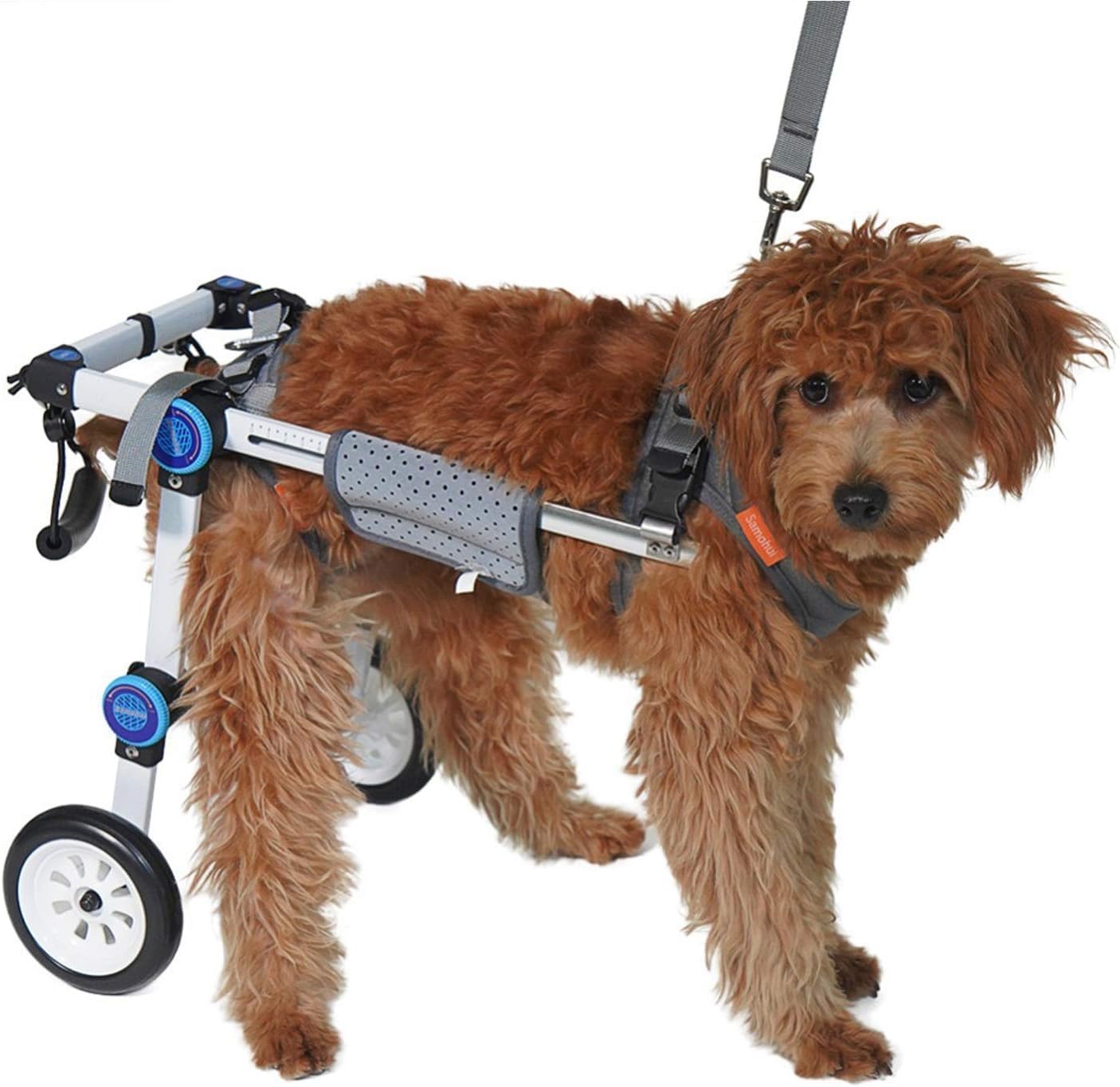 Collapsible Dog Wheelchair for Back Legs - Adjustable Pet Mobility Aid for Disabled Dogs & Cats (XS Widened) - Ideal for Indoor & Outdoor Use, Walks, and Rehabilitation