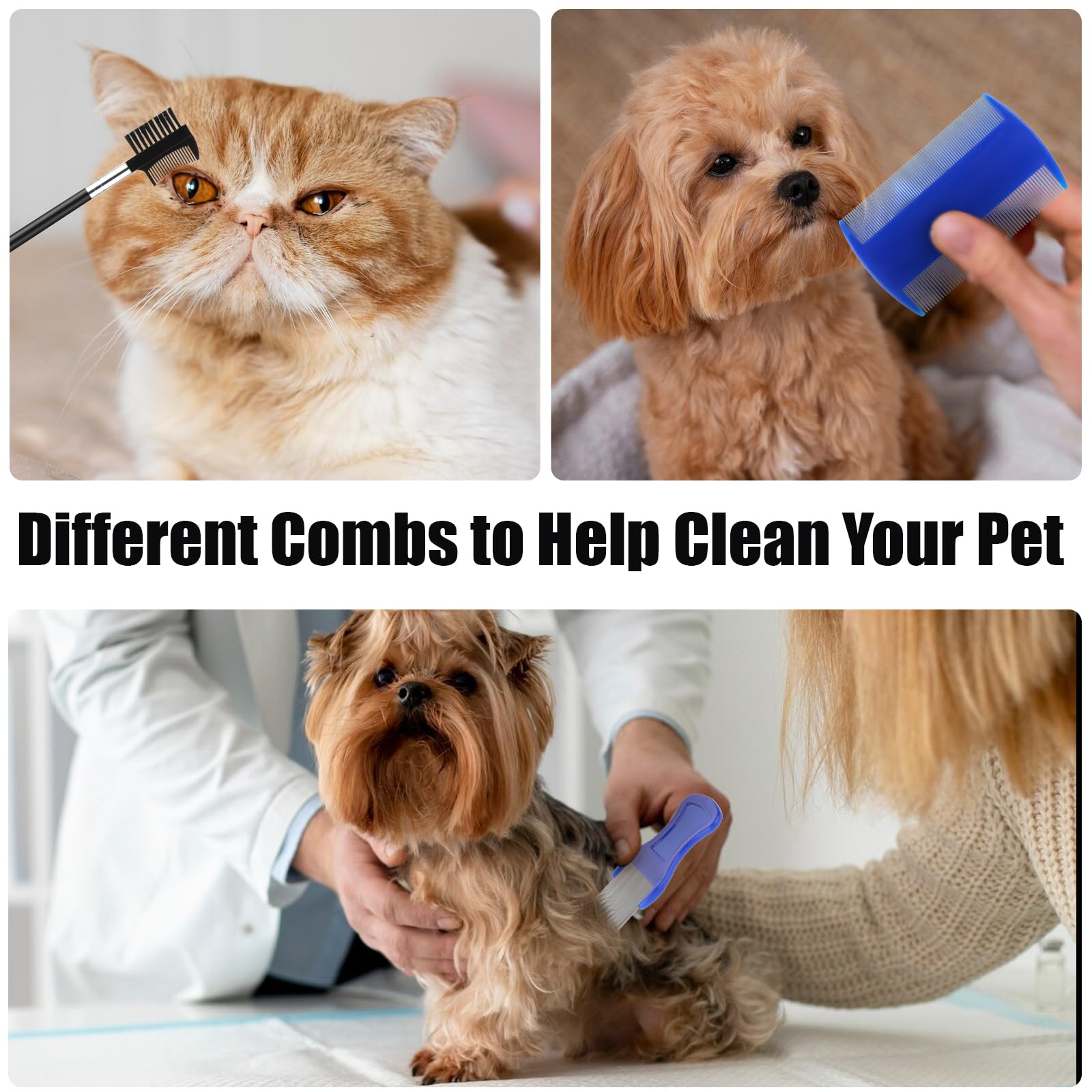 Molain 6 Pack Flea & Lice Comb for Dogs & Cats - Stainless Steel Pet Grooming Comb with Rounded Teeth, Double Sided Professional Tear Stain Remover & Dematting Tool - Safe for Small, Medium & Large Pets - Perfect for Home Grooming & Pet Salon Use