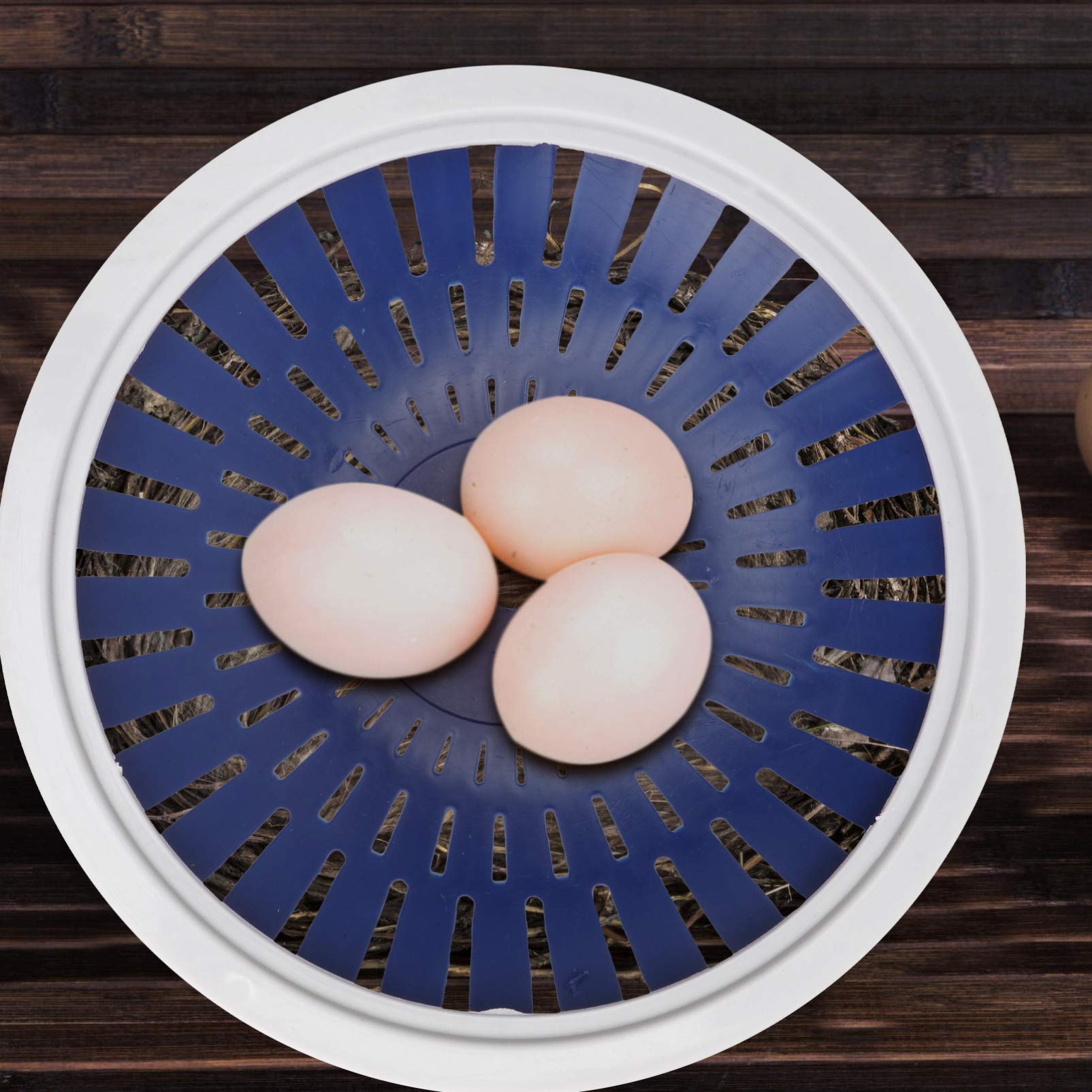POPETPOP 5pcs Pigeon Nest Egg Bowl - Durable Bird Egg Container for Incubation, Perfect for Pigeon & Pet Bird Nests, Ideal for Breeding & Hatching Accessories