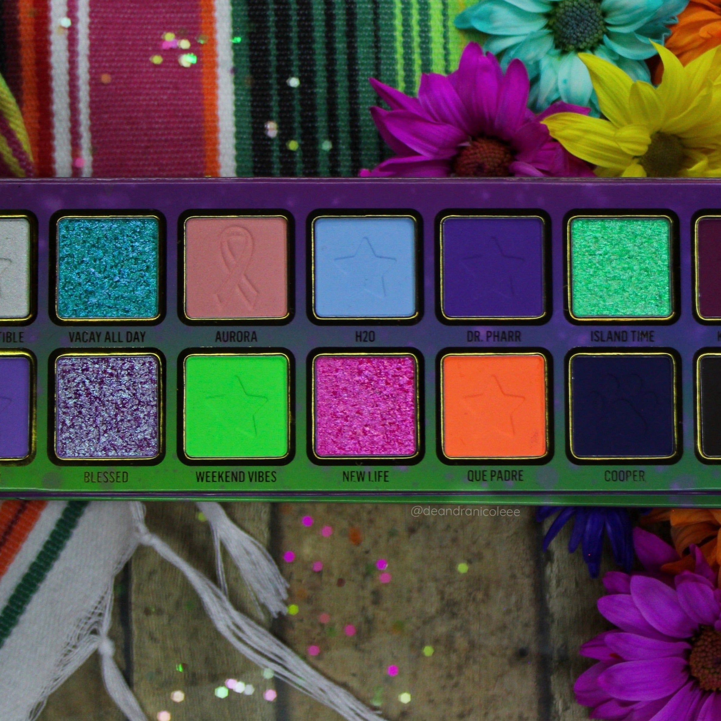 Nueva Vida x Steff's Beauty Stash Eyeshadow Palette - 18 Highly Pigmented Matte & Shimmer Eyeshadows for Professional Makeup | Perfect for Day to Night Looks, Bridal Makeup & Special Occasions