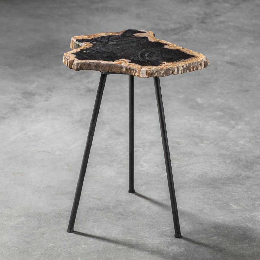 20 Inch Free Form Accent Table with Iron Legs - Nature Inspired Modern Side Table - Contemporary End Table for Living Room, Bedroom & Office Decor - 208-Bel-4190636