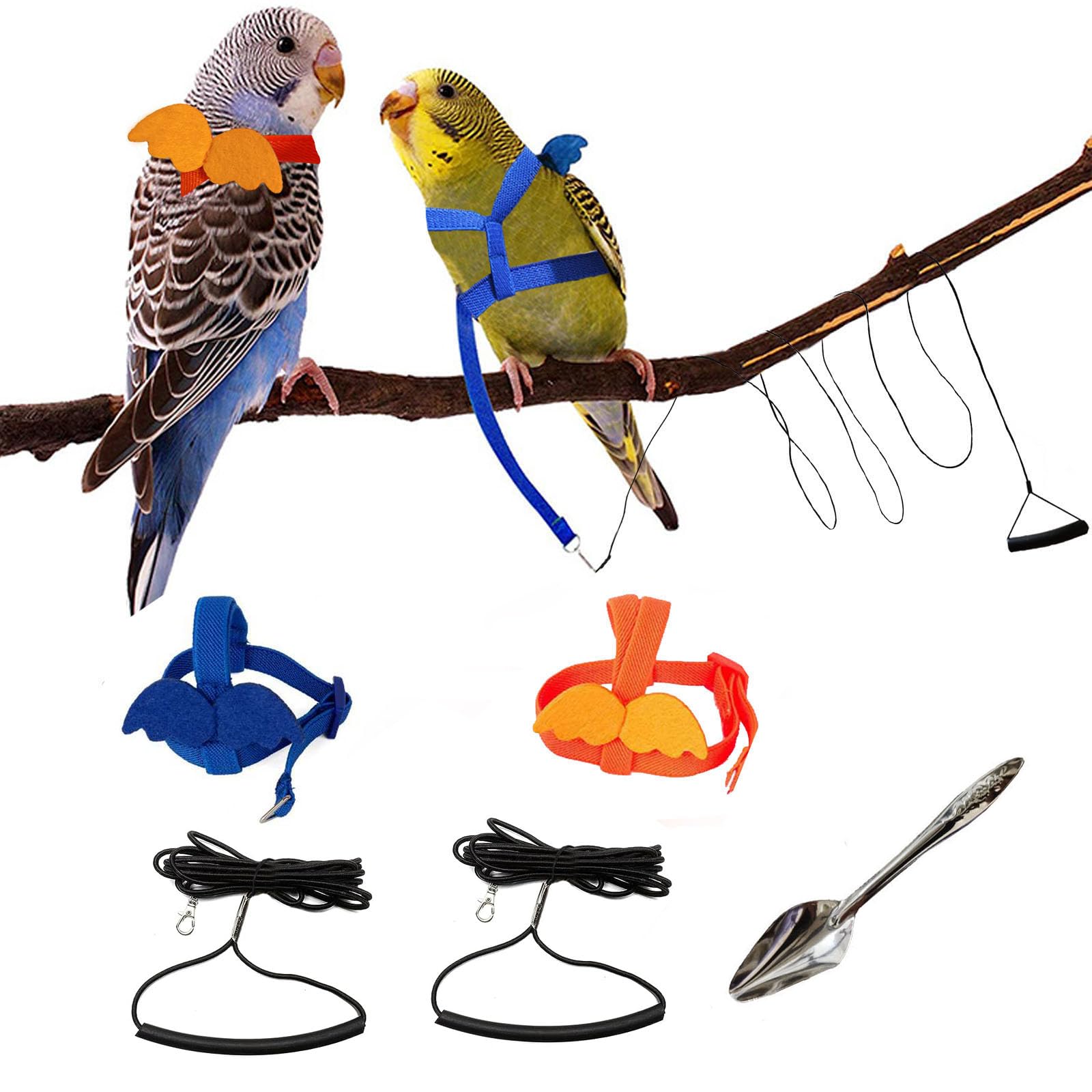 2PCS Adjustable Parrot Harness & Leash Set for Small Birds Under 37g - Secure Flight Training & Outdoor Adventure Gear for Parrots, Parakeets, Cockatiels - Perfect for Park Walks, Backyard Flying & Travel Safety