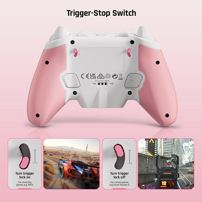 BIGBIG WON Rainbow 2 SE Wireless Game Controller with Hall Effect Triggers - Compatible with PC, PS5, Switch for Professional Gaming & Esports