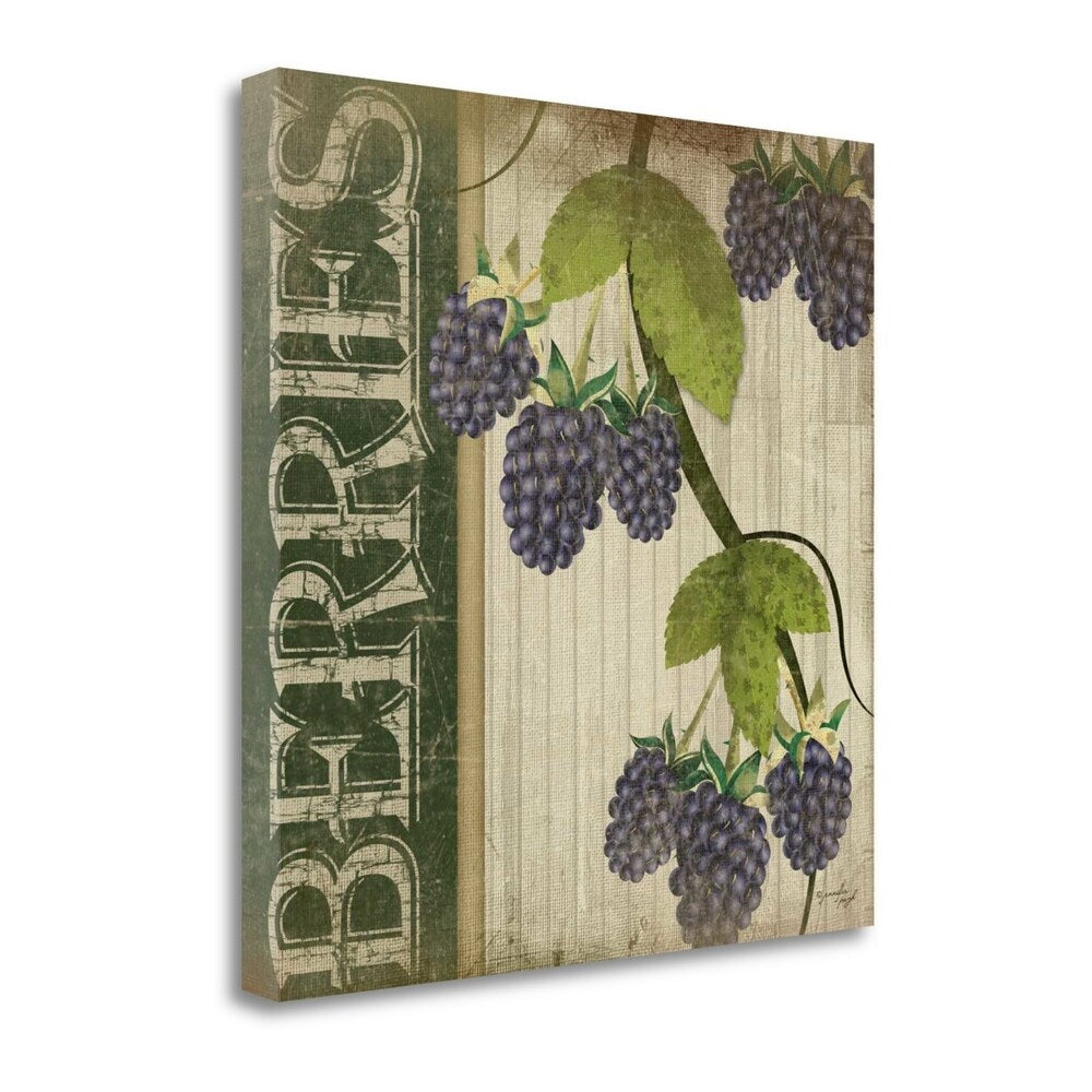 Berries By Jennifer Pugh - Premium Fine Art Giclee Print on Gallery Wrapped Canvas - Ready to Hang Wall Decor for Living Room, Bedroom & Office