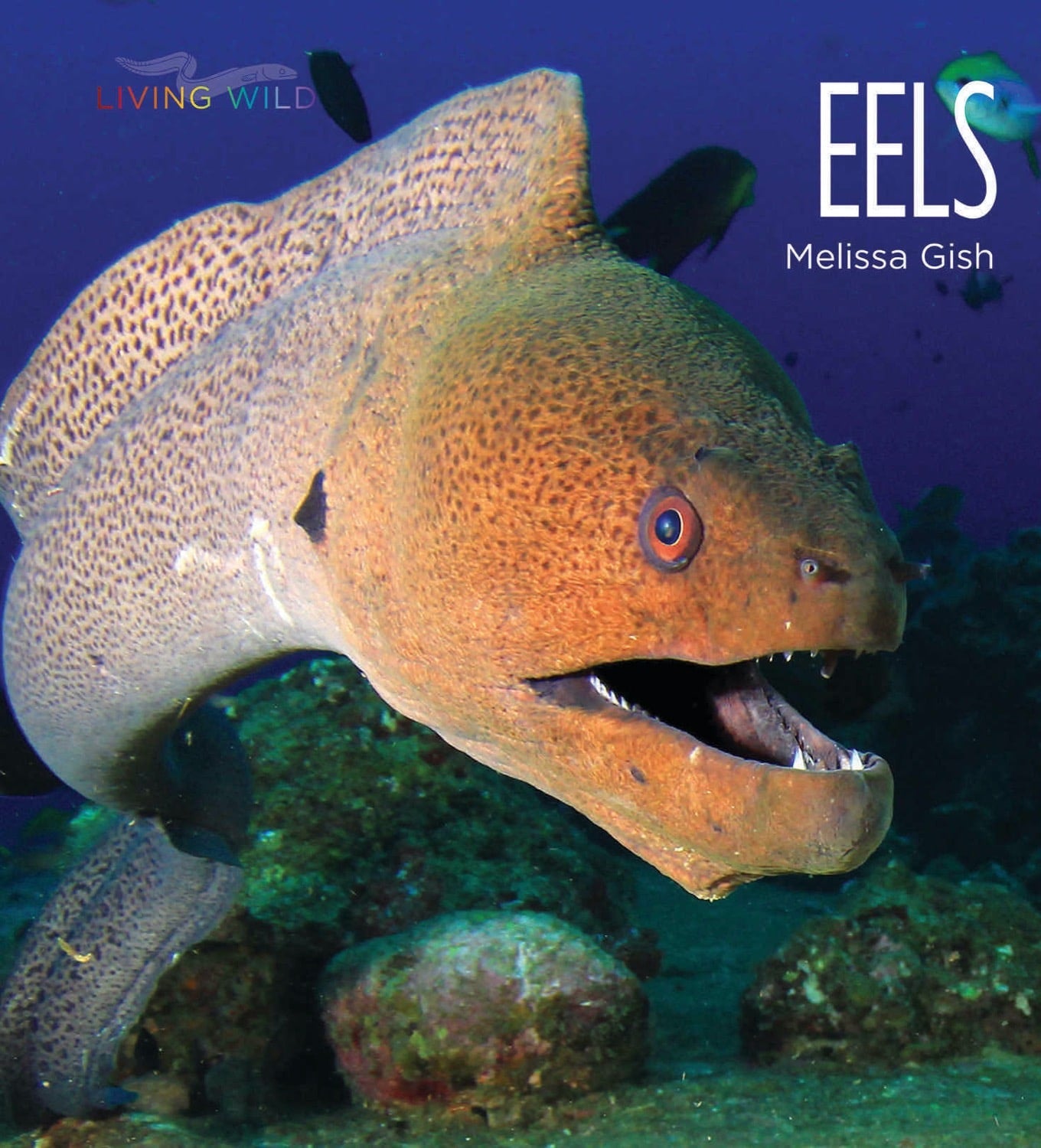 Eels: Biology, Behavior, and Conservation - ISBN 9781608189571 | Perfect for Marine Biology Studies & Nature Enthusiasts