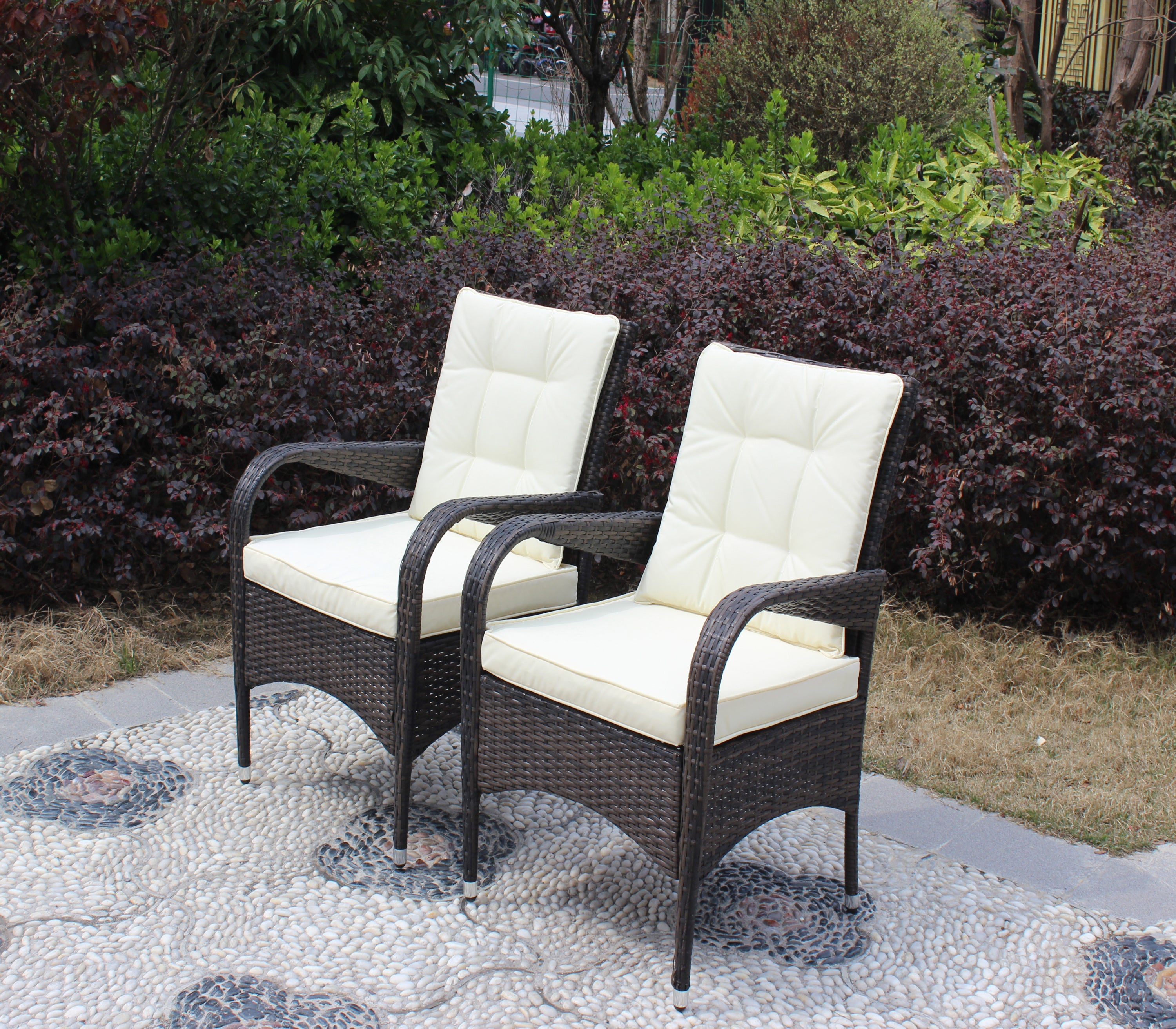 2 Piece Liberatore Dining Chairs with Beige Cushions - Modern Kitchen & Dining Room Furniture Set for Home Decor
