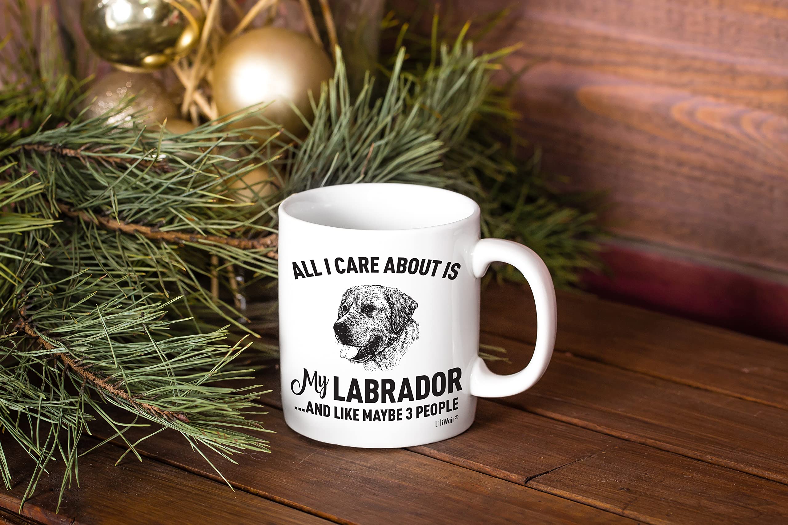 Funny Labrador Dog Lover Coffee Mug - Gift for Dog Moms, Dads & Pet Owners - Christmas, Birthday & Everyday Use - Perfect for Home, Office & Dog-Themed Decor