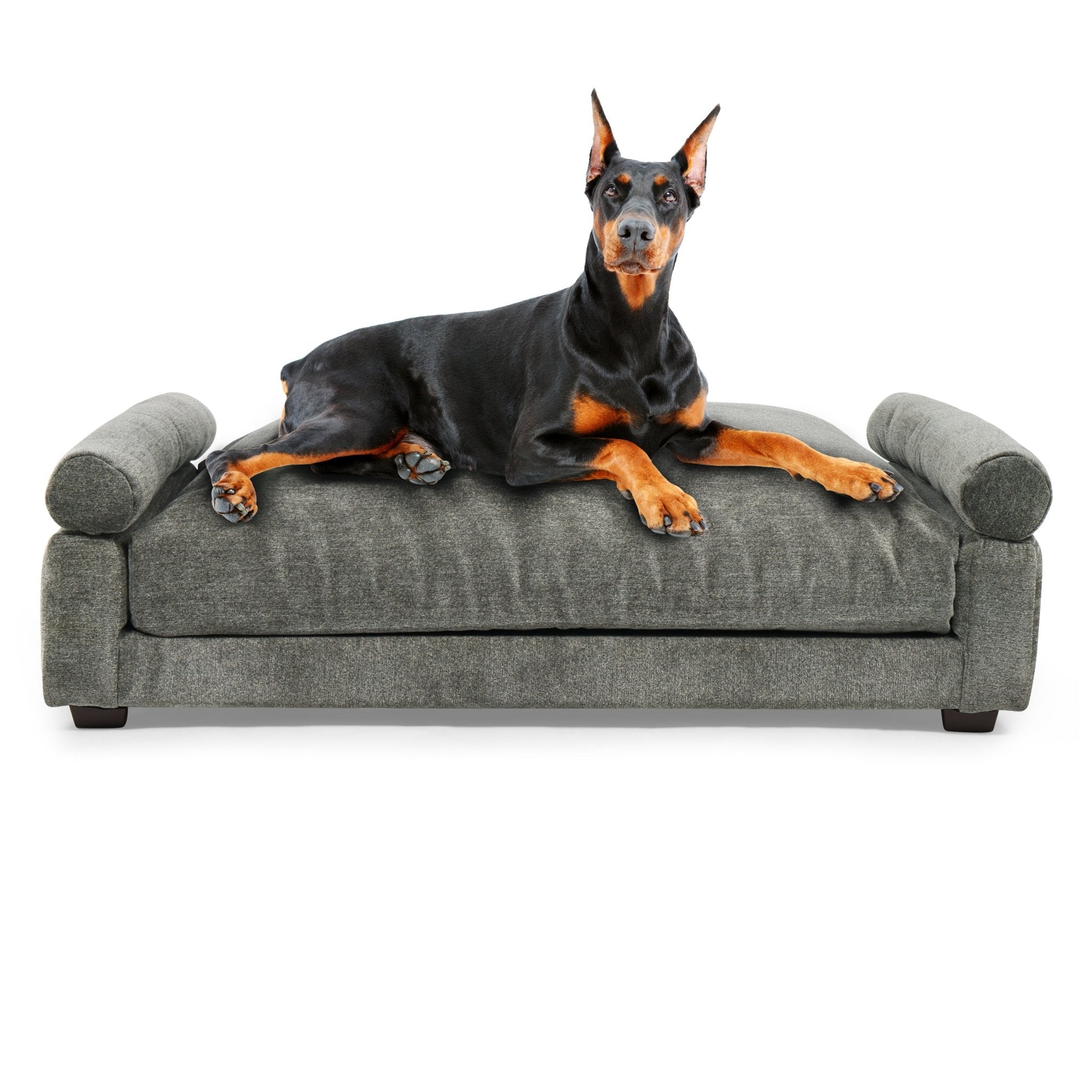 Club Nine Pets Uma Orthopedic Dog Bed - Charcoal Gray Memory Foam Support for Large & Medium Dogs - Perfect for Arthritis & Joint Pain Relief - Ideal for Bedrooms, Living Rooms & Pet-Friendly Spaces