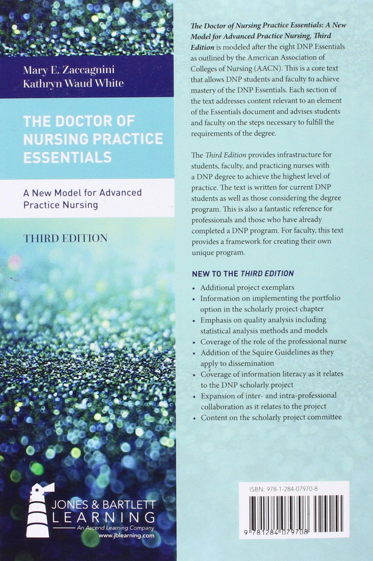 Doctor of Nursing Practice (DNP) Essentials - Advanced Nursing Education Guide for Healthcare Professionals | Clinical Practice & Leadership Development