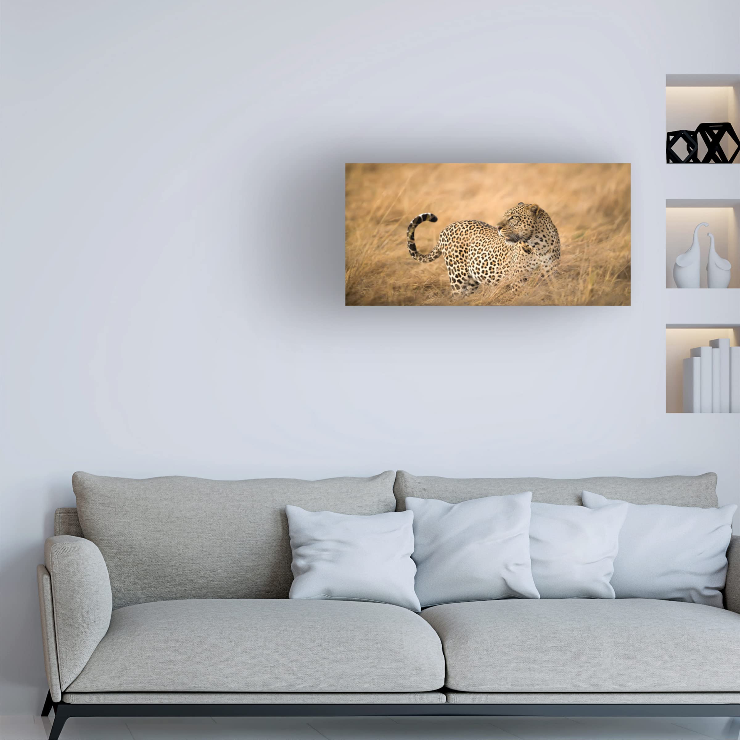 Trademark Fine Art 'Watching' Canvas Wall Art by Faisal ALnomas - Modern Home Decor for Living Room, Bedroom & Office