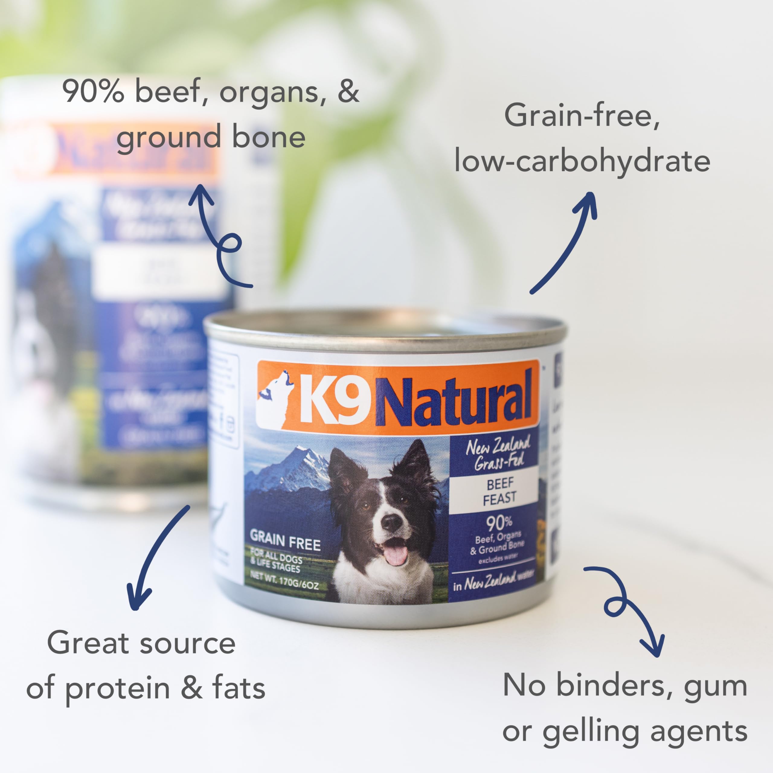 K9 Natural Grain-Free Wet Dog Food Pate - Beef Feast, 12 Pack of 6 Oz Cans | Limited Ingredient, Single-Source New Zealand Grass-Fed Beef Recipe | Perfect for Sensitive Stomachs & High-Energy Dogs