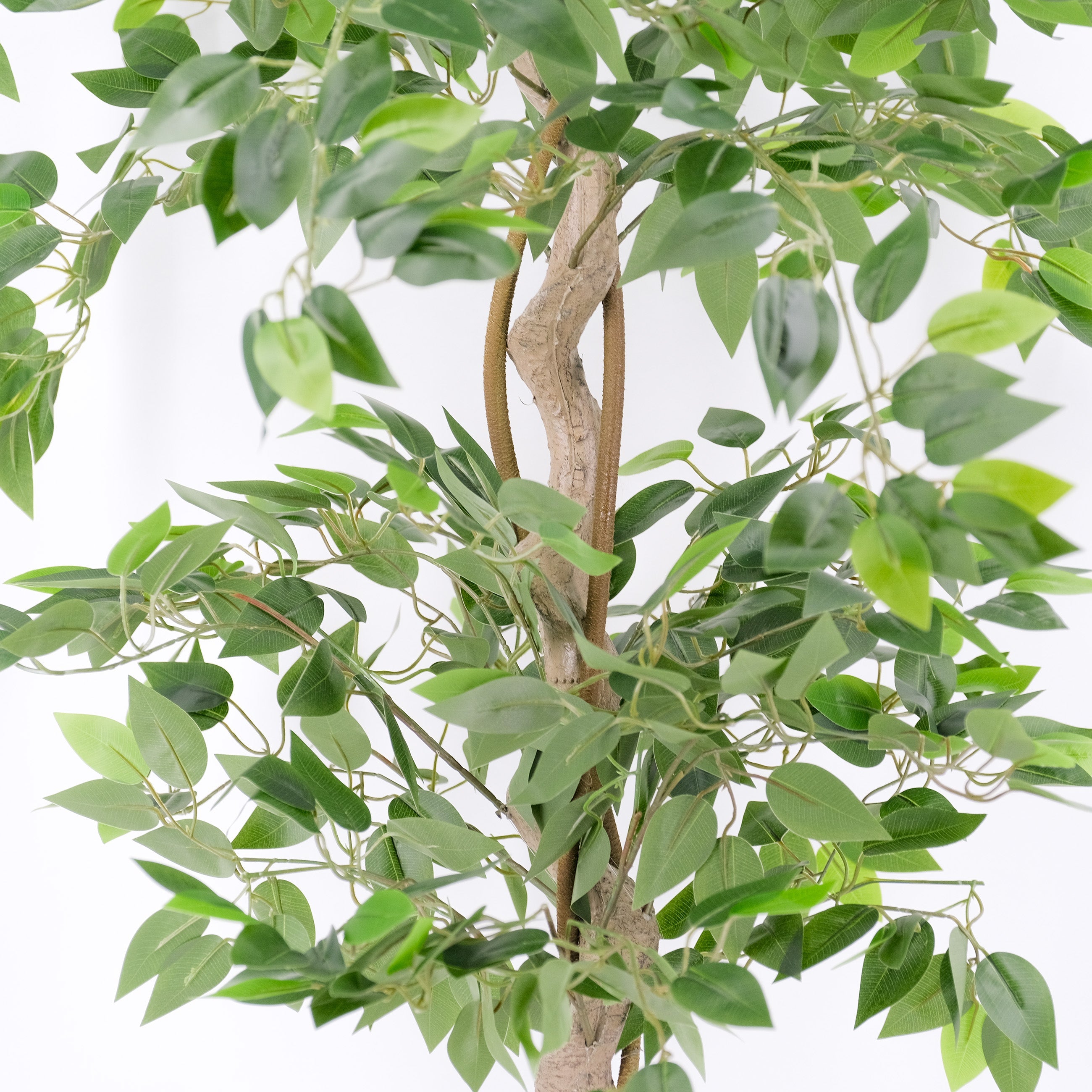 Realistic Artificial Ficus Tree with Twisted Trunk - 6 Feet Tall Faux Indoor Plant for Home Decor, Office, Living Room - Low Maintenance Houseplant Alternative
