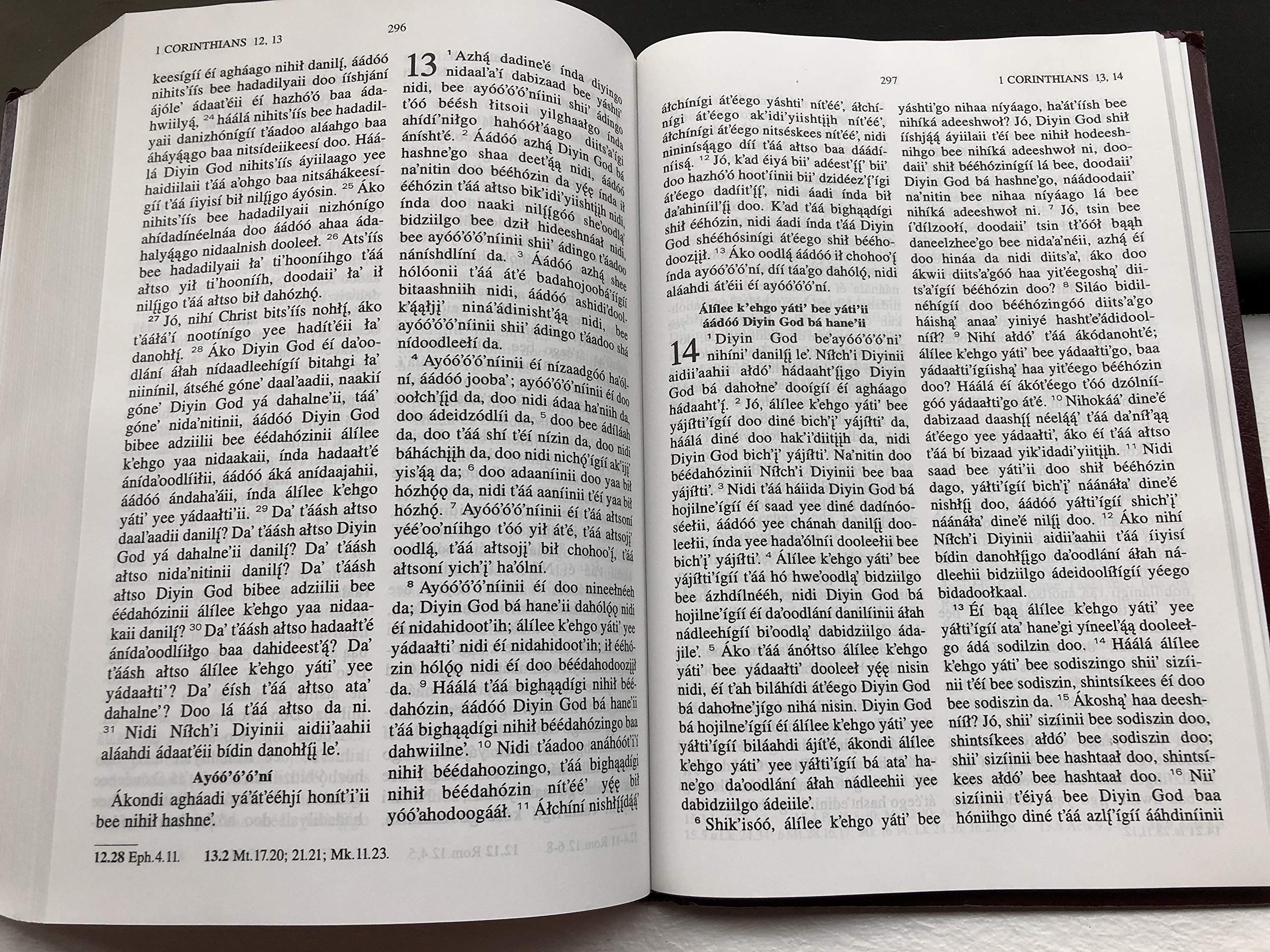 Navajo Bible - Diyin God Bizaad - Authentic Native American Scripture for Spiritual Study, Church Services & Cultural Preservation