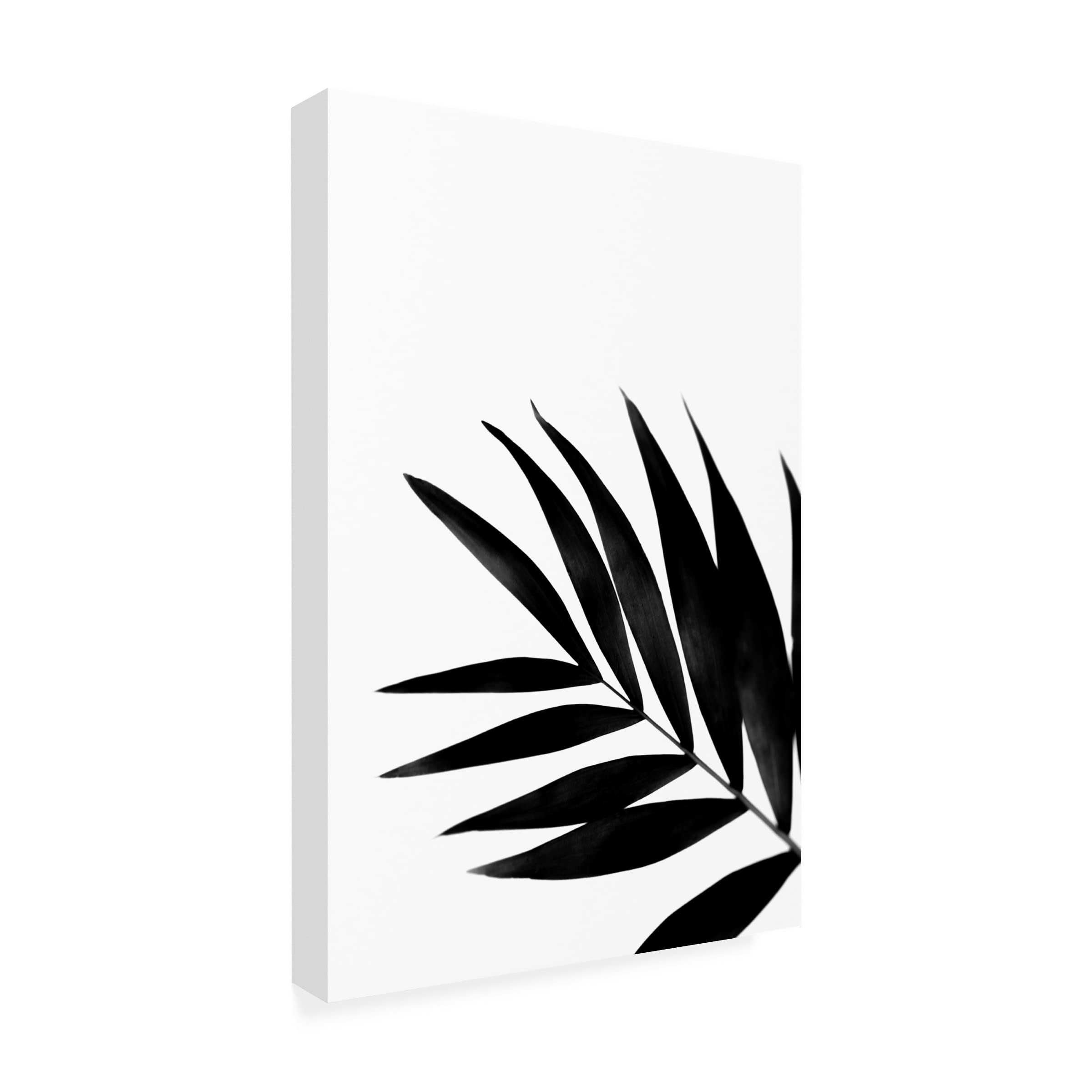Renee W Stramel 'Black Palms II' Canvas Wall Art Print - Tropical Palm Tree Home Decor for Living Room, Bedroom & Office - Modern Framed Artwork for Beach House & Coastal Style Interiors