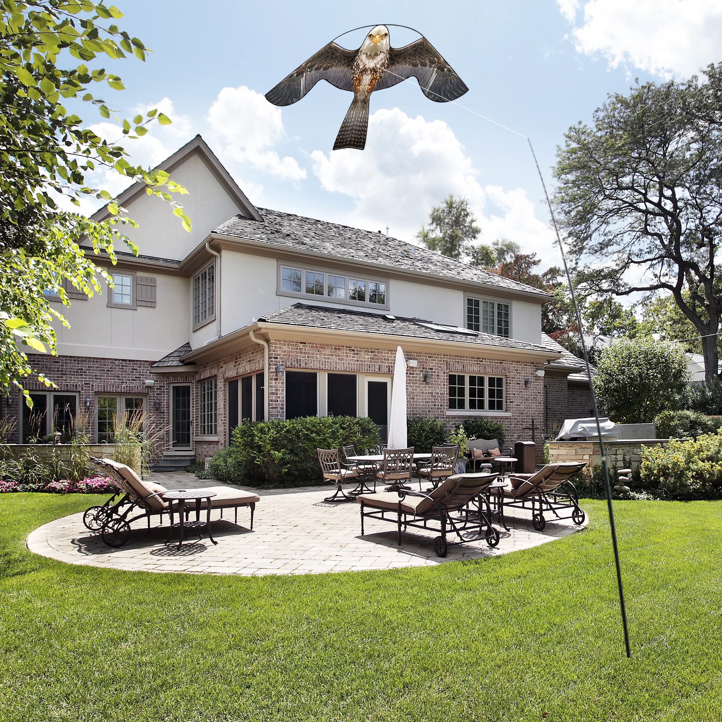 Bird Hawk Flying Kite with 4m Pole - Effective Bird Scarer for Crops & Farm Protection | Durable Garden Pest Control Solution for Fields, Vineyards, and Backyards