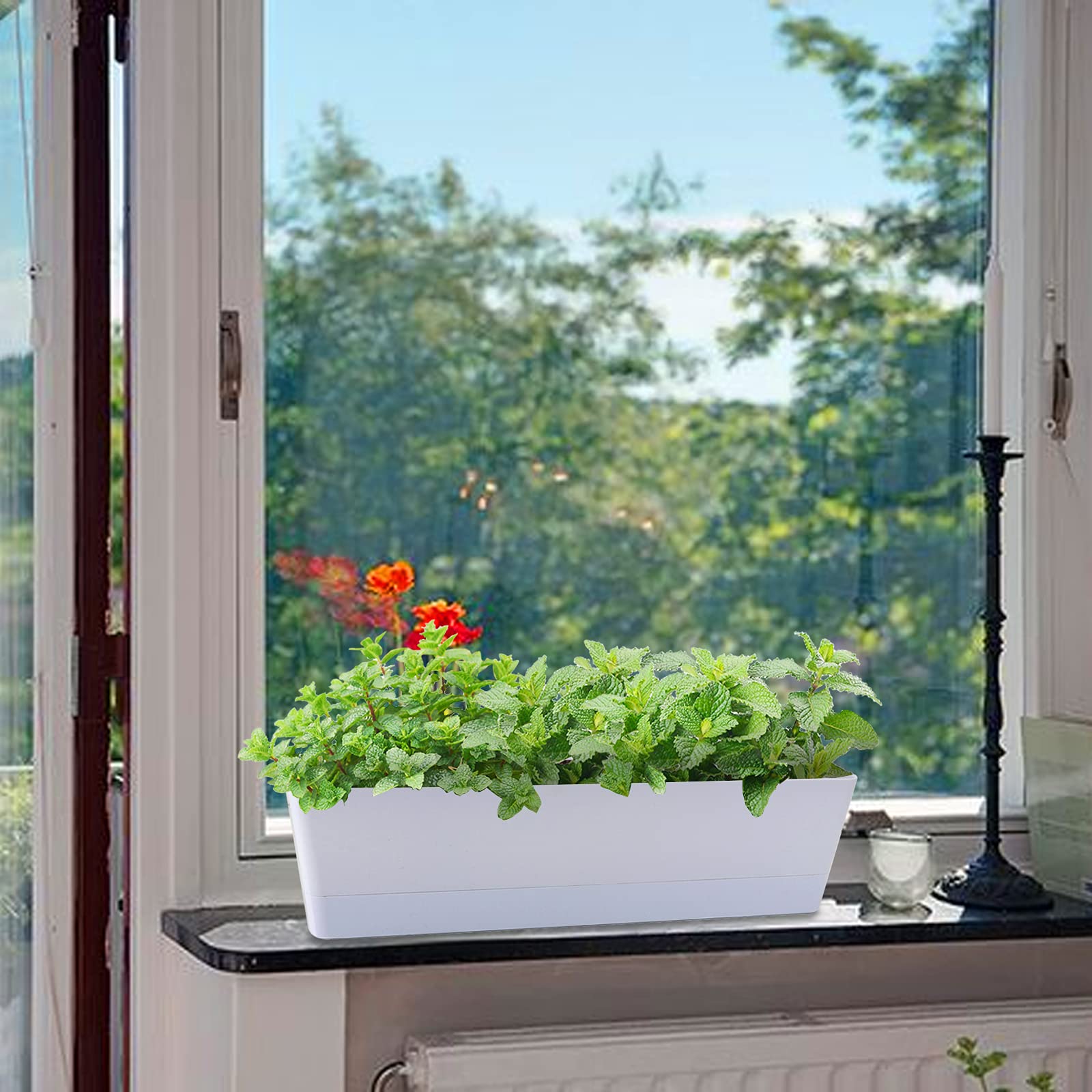 GREANER 6 Pack 16x3.8 Inch White Plastic Window Box Planters with Drainage Trays - Indoor Outdoor Flower Pots for Succulents, Cactus, Vegetables - Perfect for Balcony, Office, Garden, Windowsill Decor & Planting