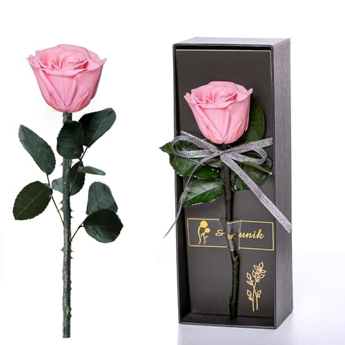 Single Preserved Rose Bouquet - Romantic Pink Valentine's Day, Birthday Gift for Her, Wife, Mom, Grandma & Girlfriend - Perfect for Anniversaries, Weddings & Special Occasions