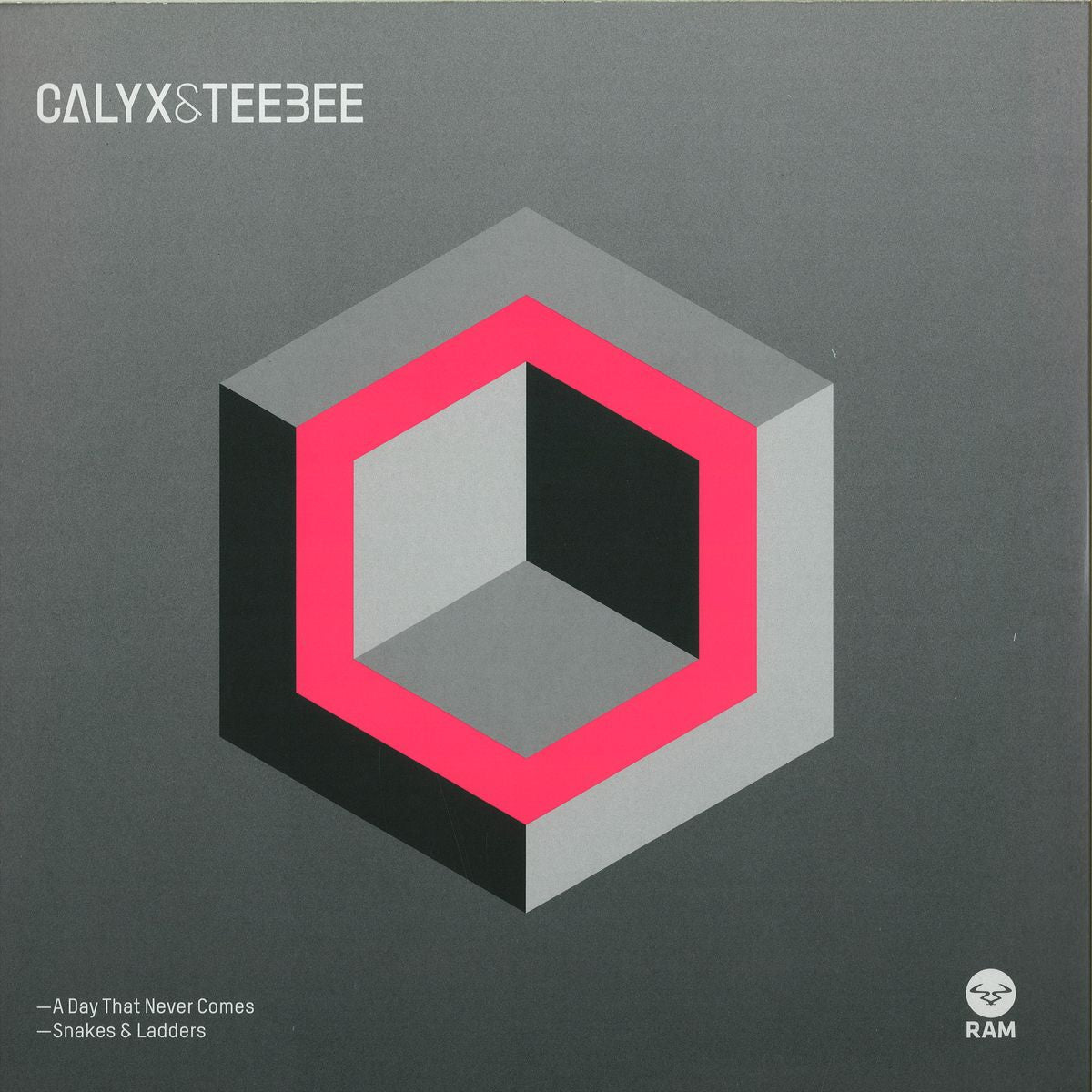 Calyx & Teebee - A Day That Never Comes Vinyl Record 12