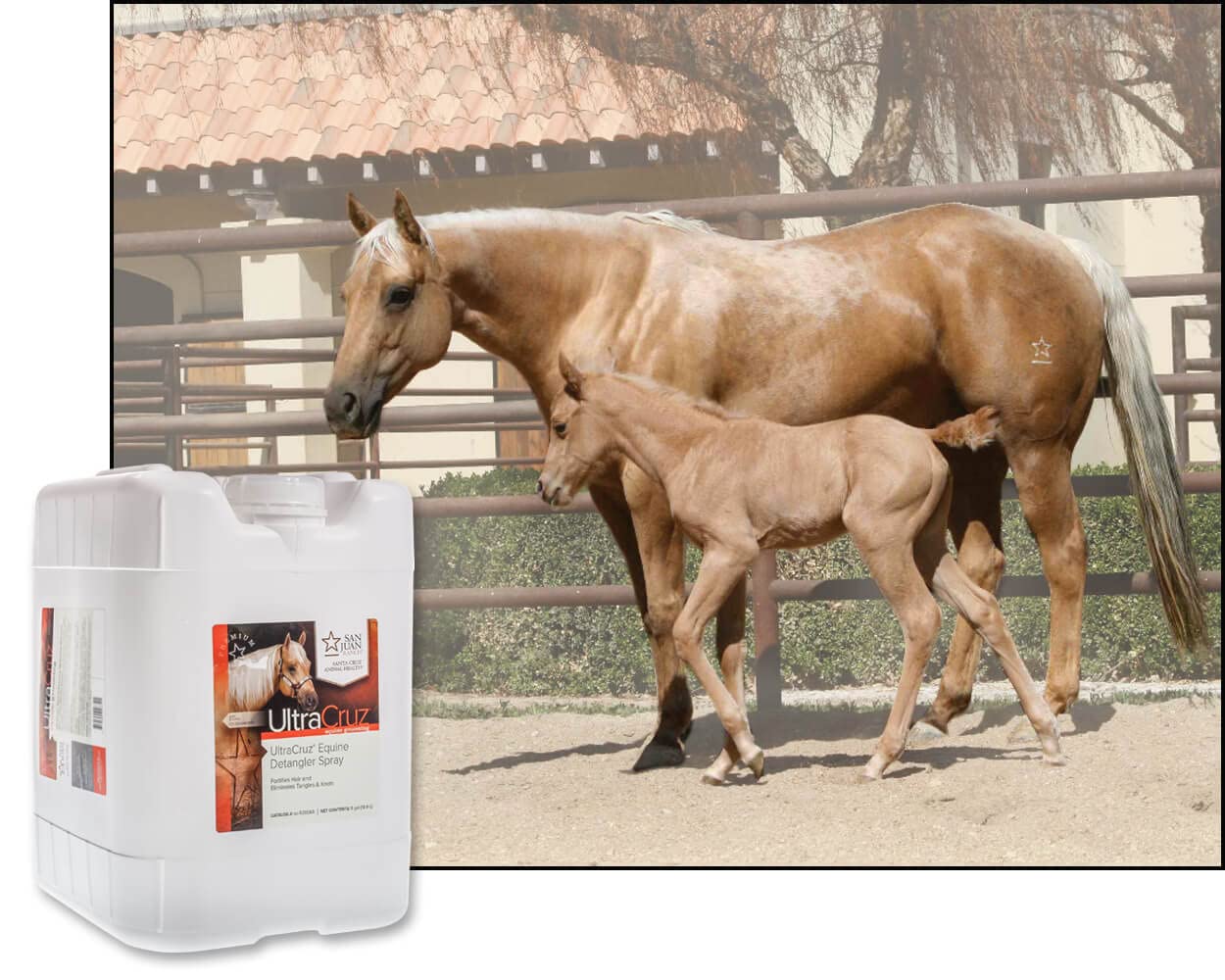 UltraCruz Equine Detangler Spray for Horses - 5 Gallon Refill | Tangle-Free Mane & Tail Care | Perfect for Grooming, Shows & Daily Horse Maintenance
