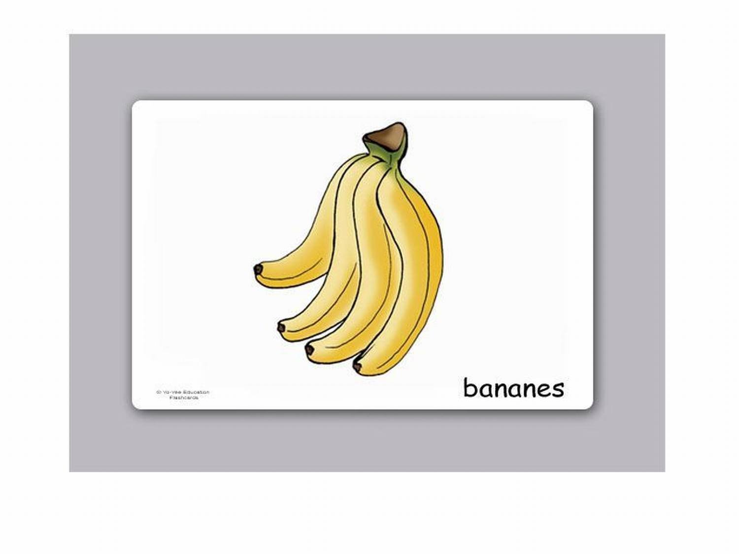 French Fruit Vocabulary Flashcards for Kids, Beginners & Adults - Learn Fruits in French - Perfect for Language Learning & Classroom Activities