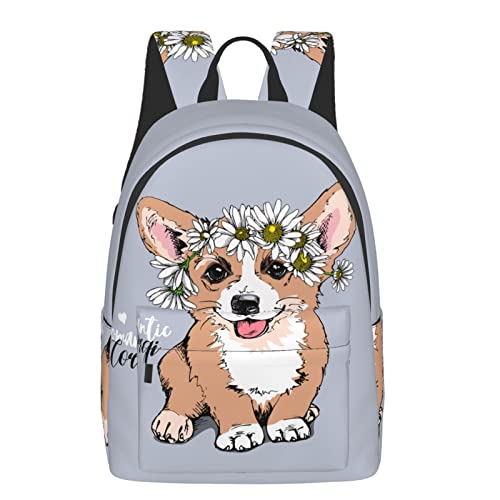 Welsh Corgi