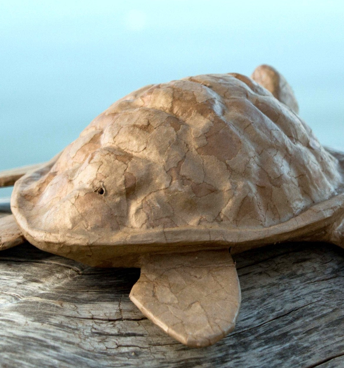 Eco-Friendly Biodegradable Paper Turtle Water Burial Urn for Pet Ashes - Perfect for Sea, Lake, or River Memorial Ceremonies