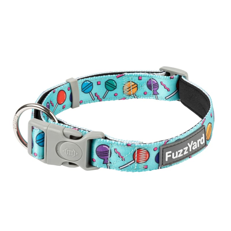 Fuzzyard Hey Suckers Dog Collar - Adjustable Pet Collar with Funny Slogan (3 Sizes) for Small, Medium & Large Dogs - Perfect for Walks, Training & Playtime