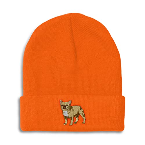 Orange Design Only