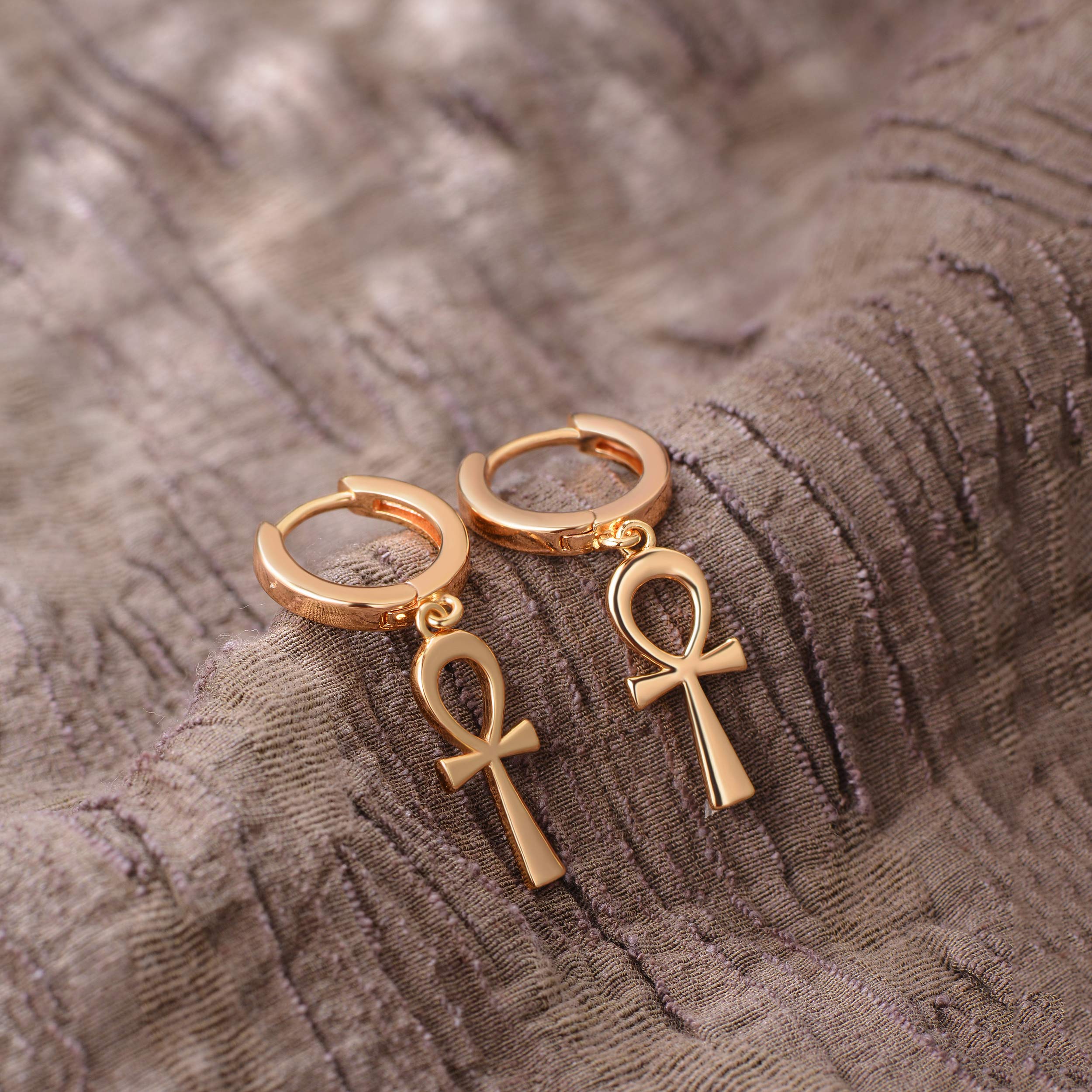 VALLOEY ROVER 14k Gold Plated Hoop Earrings for Women - Hypoallergenic Dainty Dangle Earrings with Charm - Perfect for Everyday Wear, Parties & Gifts